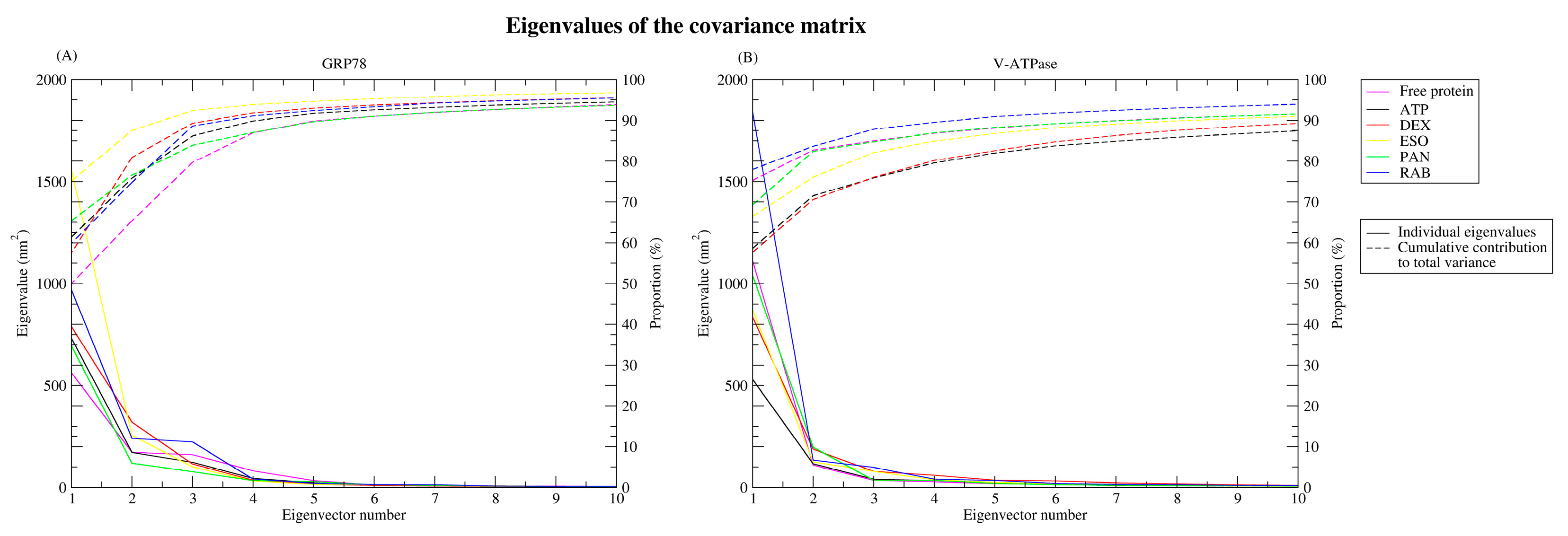 Ijms 26 08170 g008 Ijms 26 08170 g008