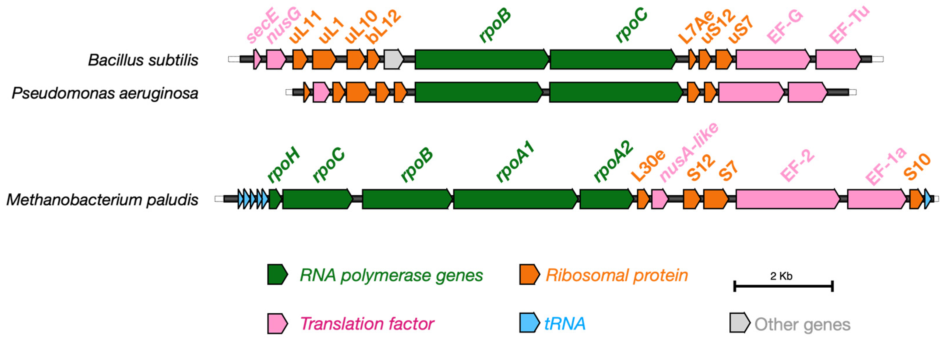 Ijms 26 08216 g002 Ijms 26 08216 g002