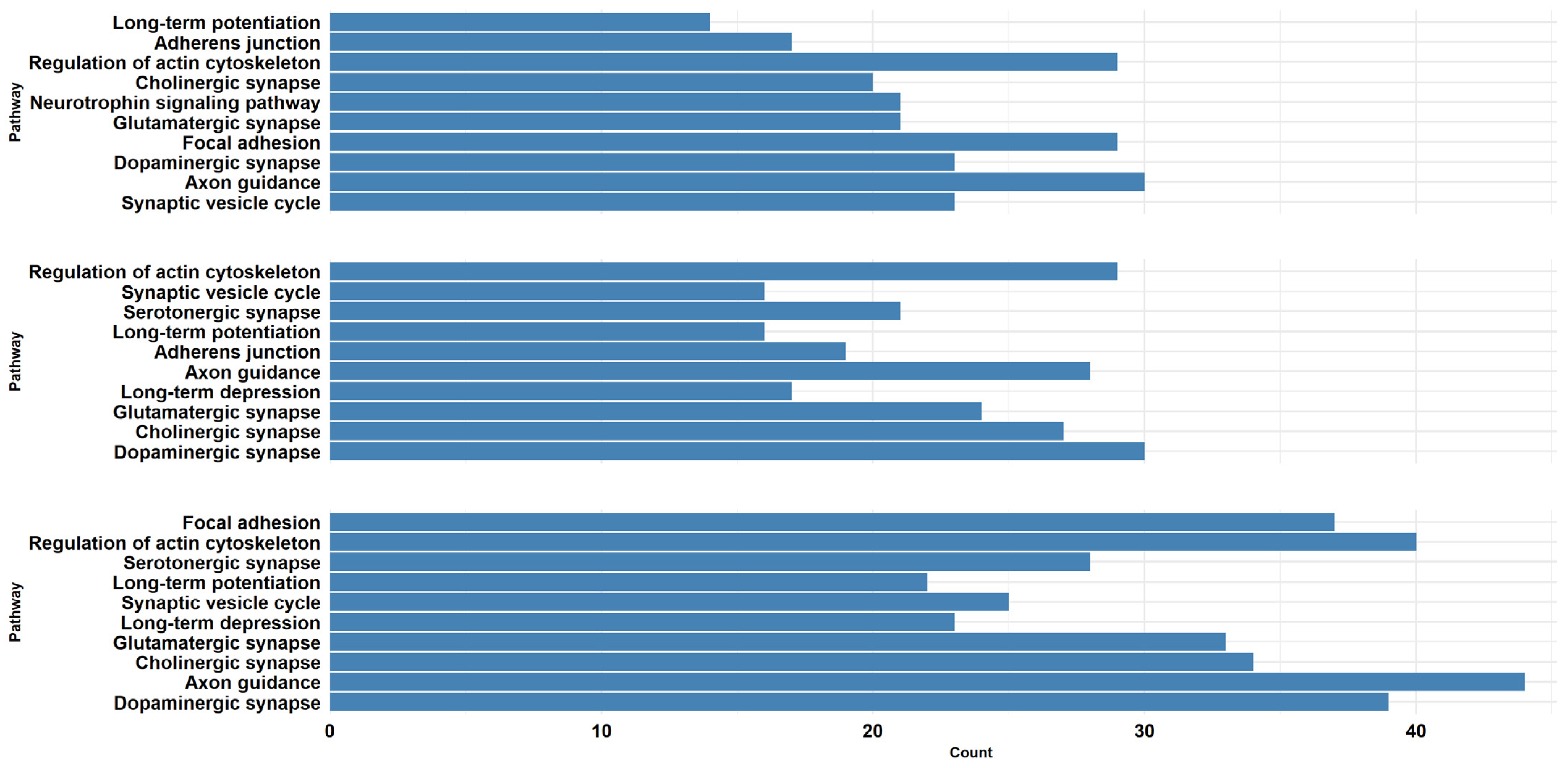 Ijms 26 08220 g004 Ijms 26 08220 g004