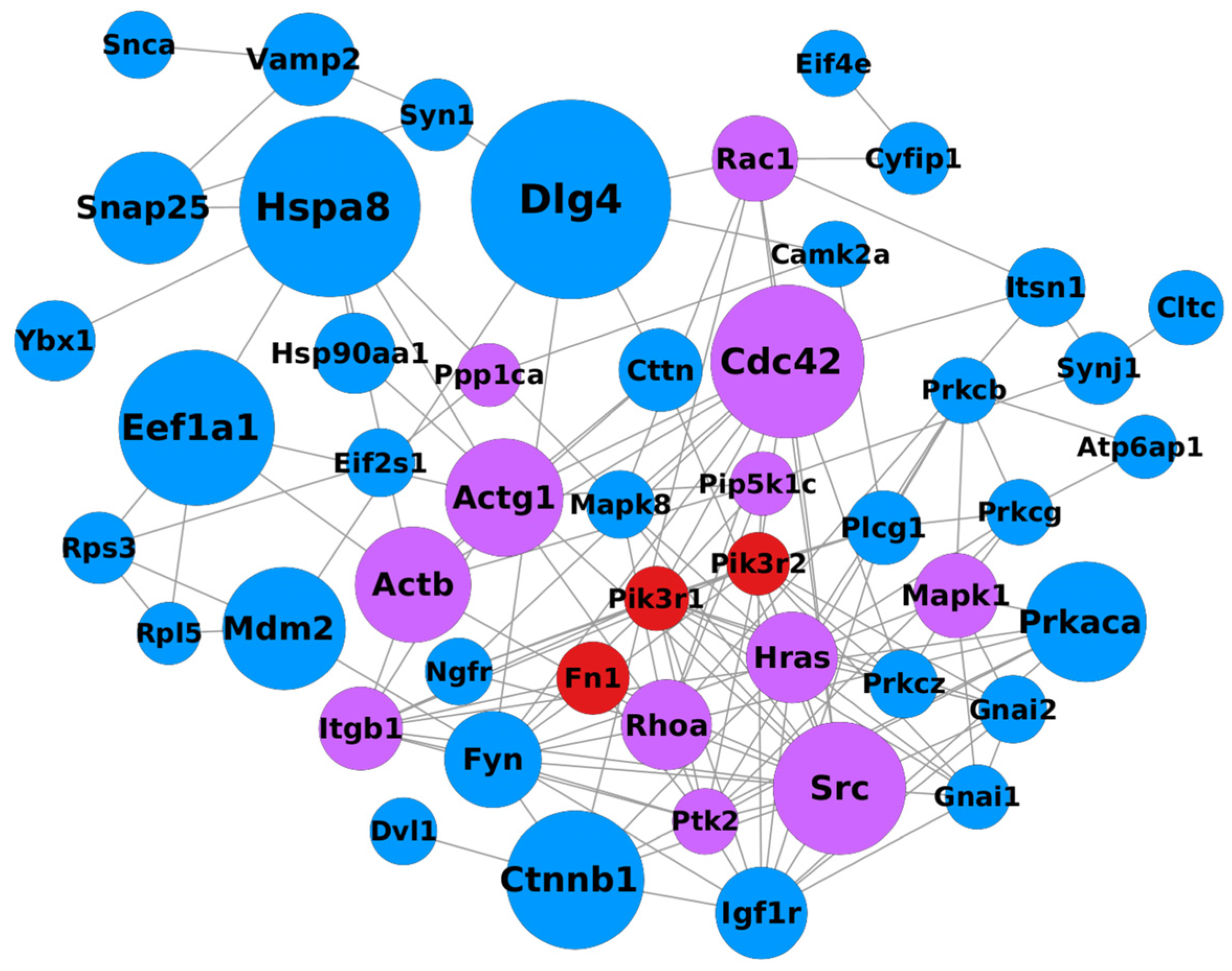 Ijms 26 08220 g006 Ijms 26 08220 g006