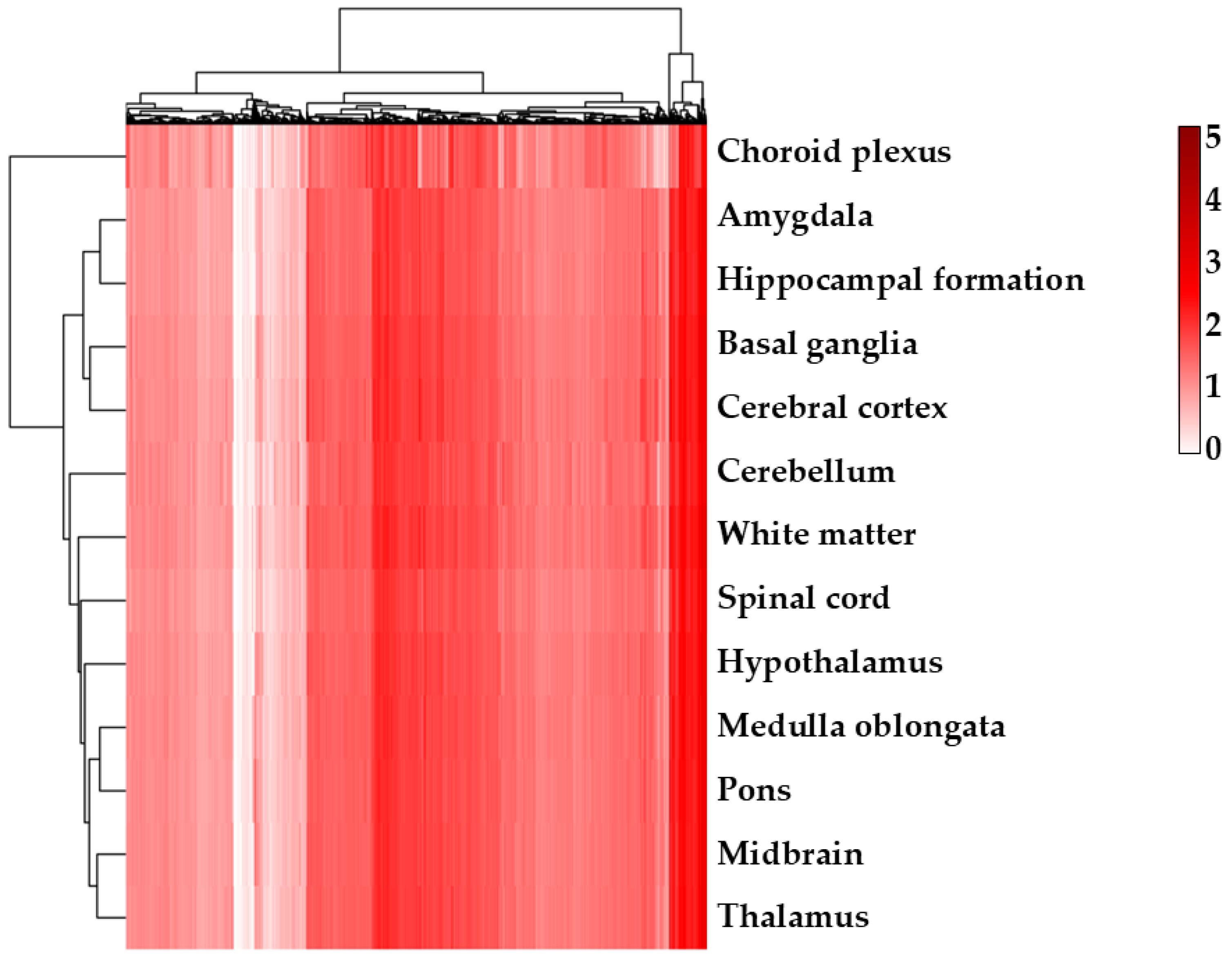 Ijms 26 08220 g007 Ijms 26 08220 g007