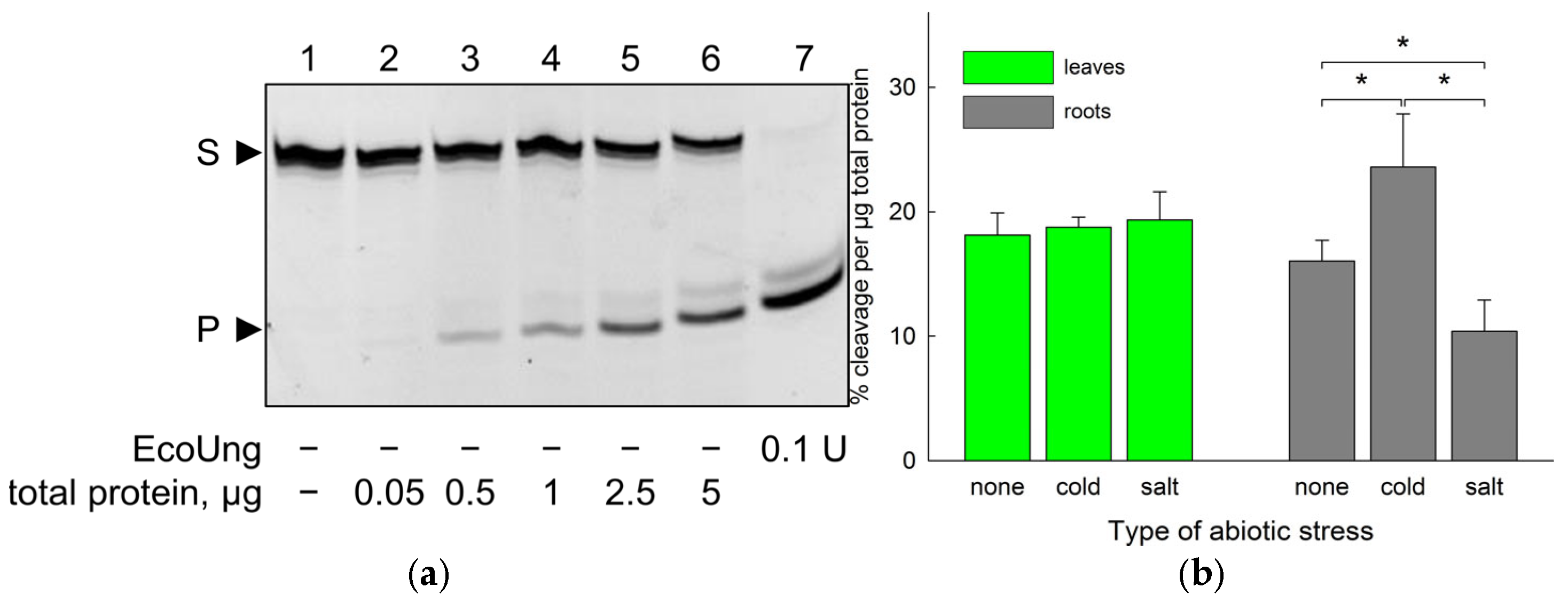 Ijms 26 08221 g002a Ijms 26 08221 g002a