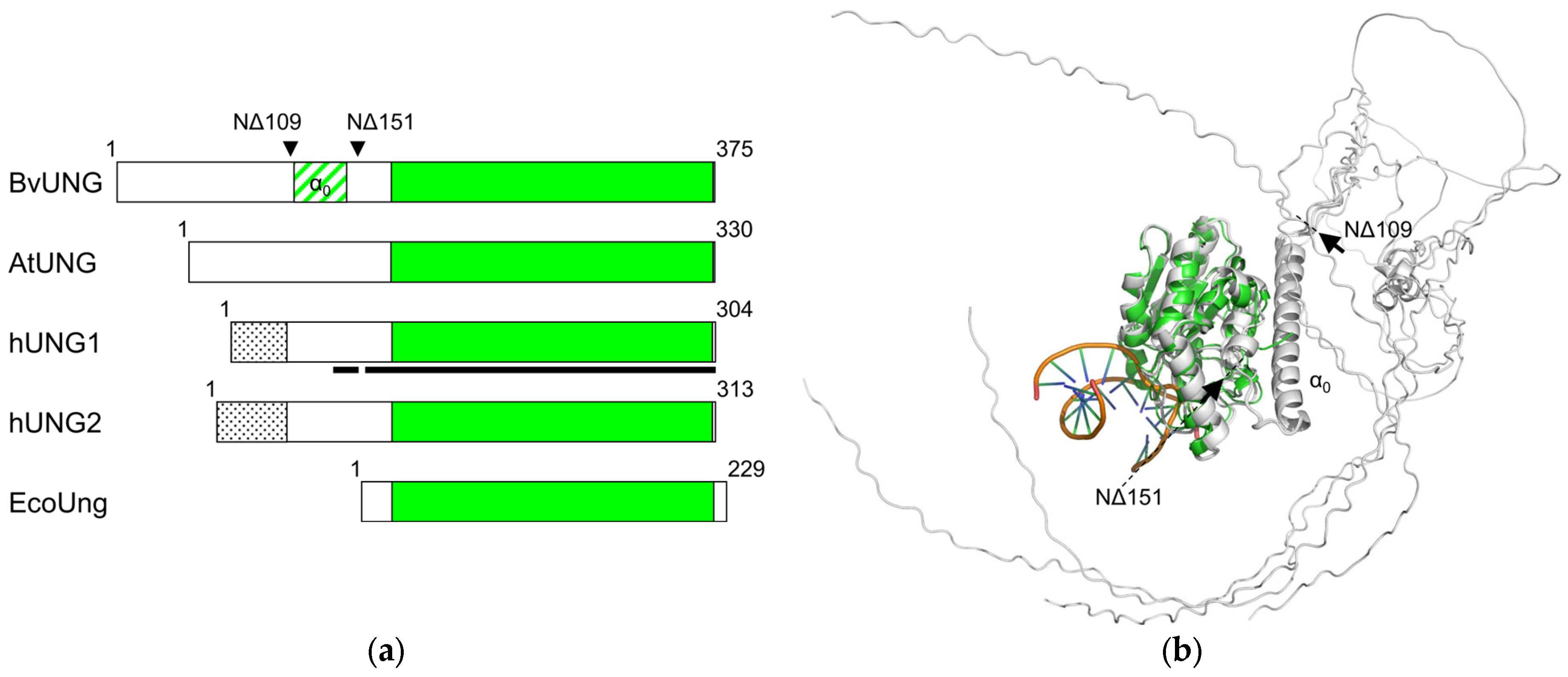 Ijms 26 08221 g004a Ijms 26 08221 g004a