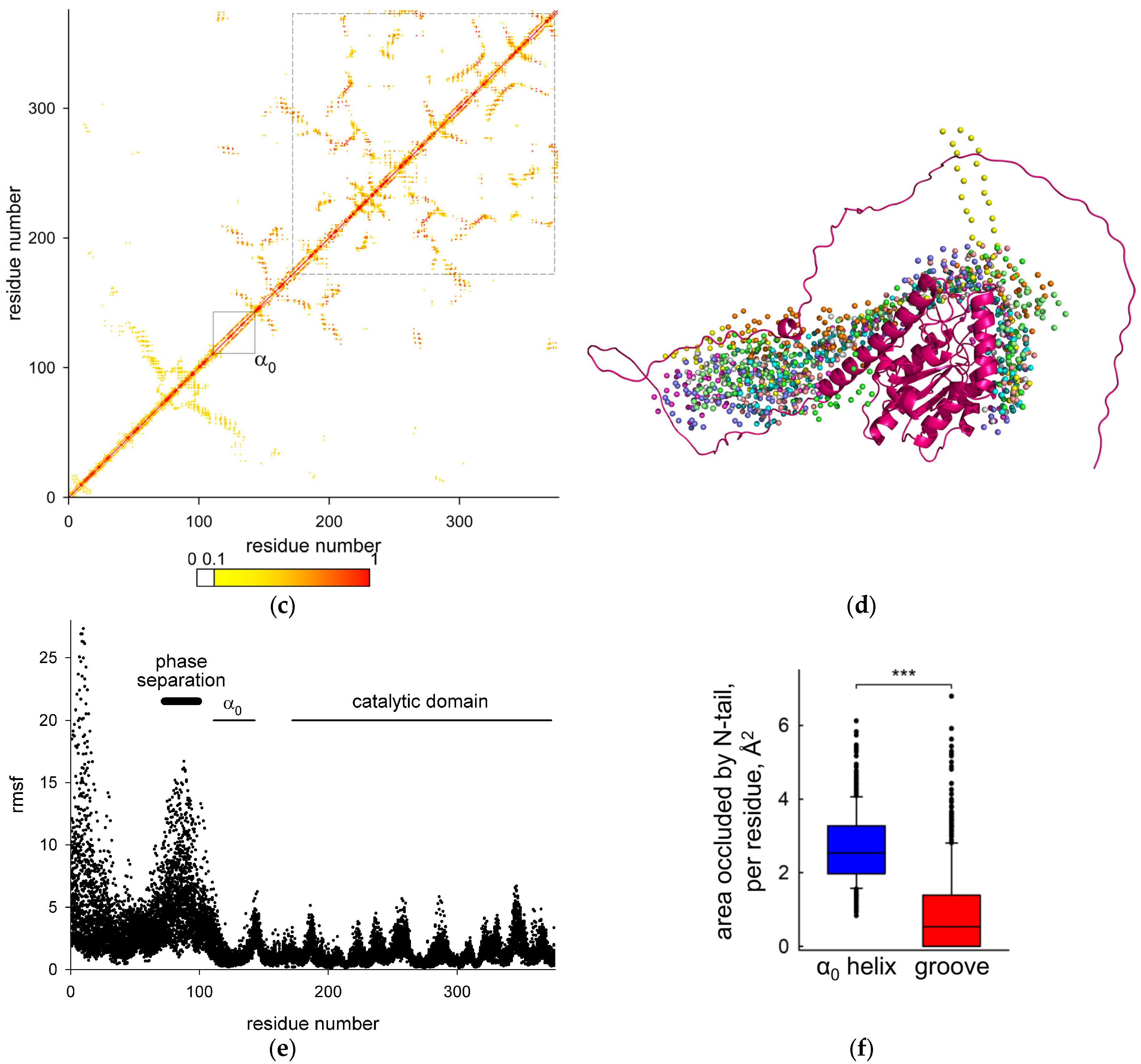 Ijms 26 08221 g004b Ijms 26 08221 g004b