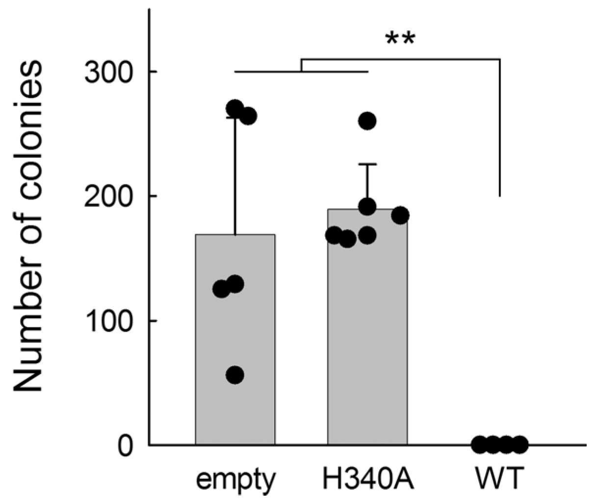 Ijms 26 08221 g006 Ijms 26 08221 g006