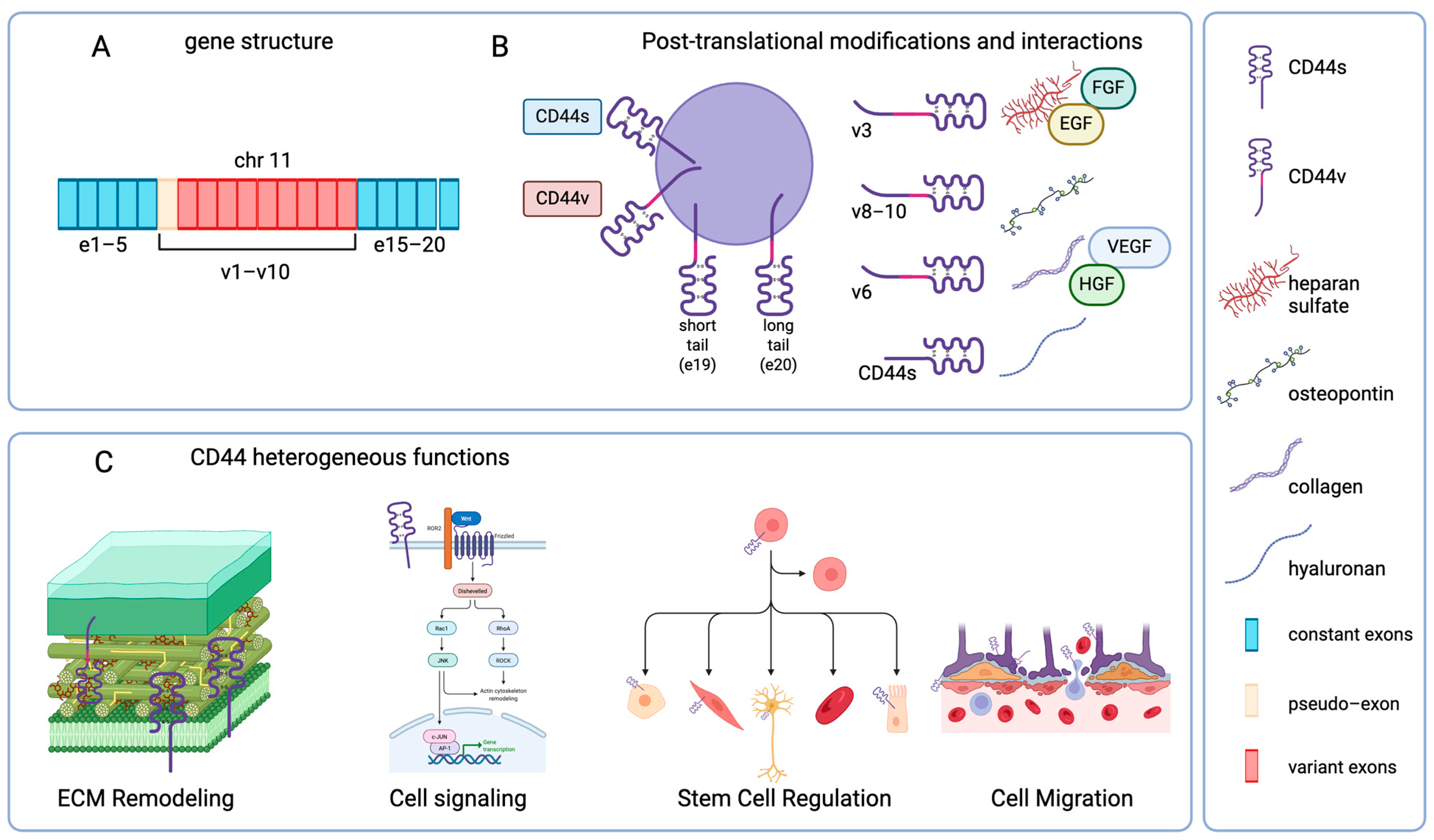 Ijms 26 08223 g001 Ijms 26 08223 g001