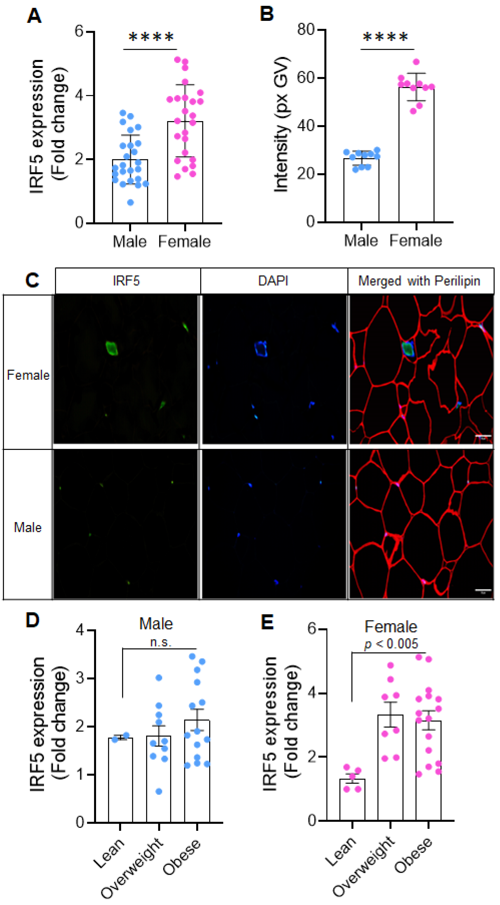 Ijms 26 08229 g001 Ijms 26 08229 g001