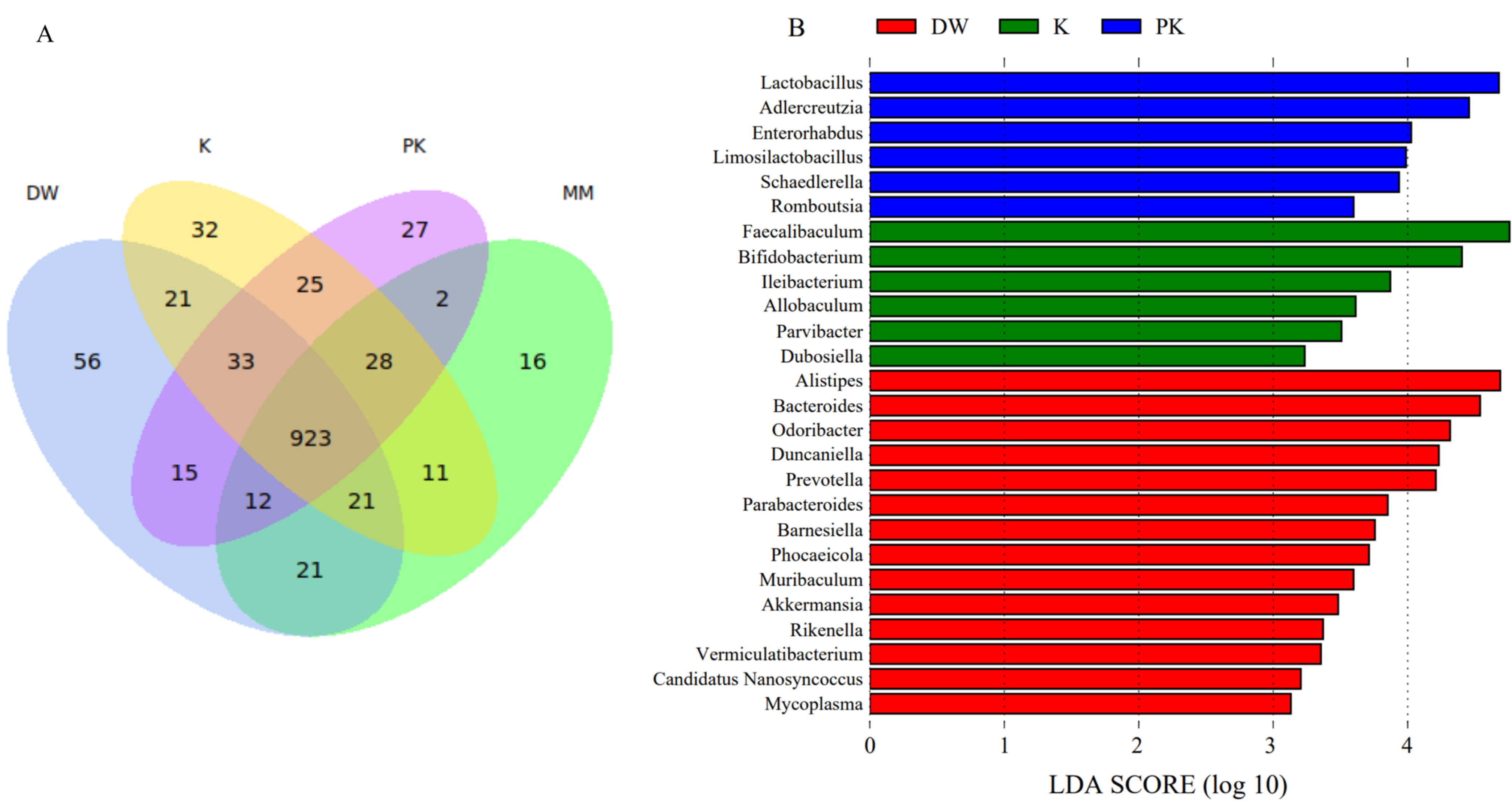 Ijms 26 08239 g005 Ijms 26 08239 g005