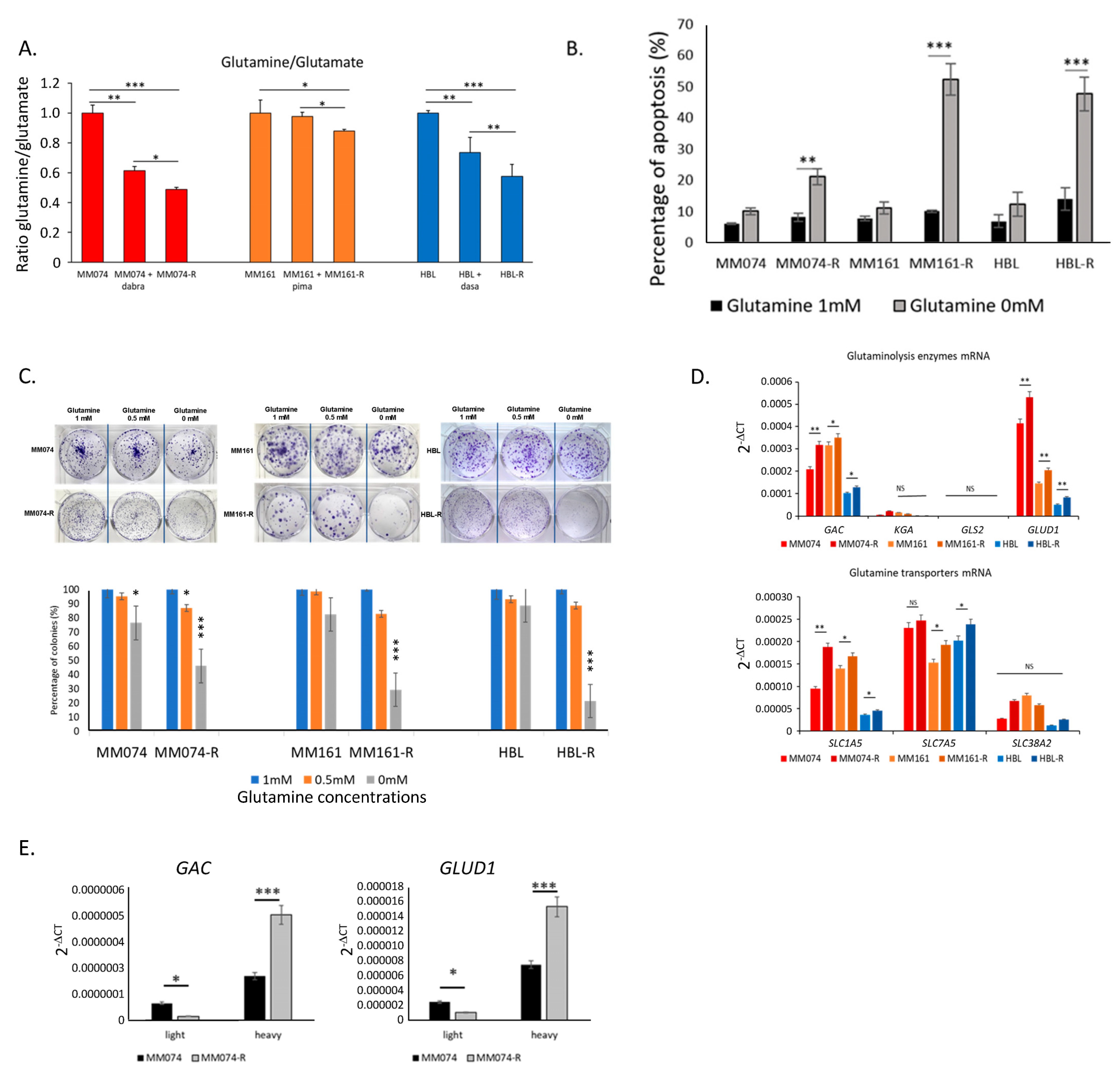 Ijms 26 08241 g001 Ijms 26 08241 g001