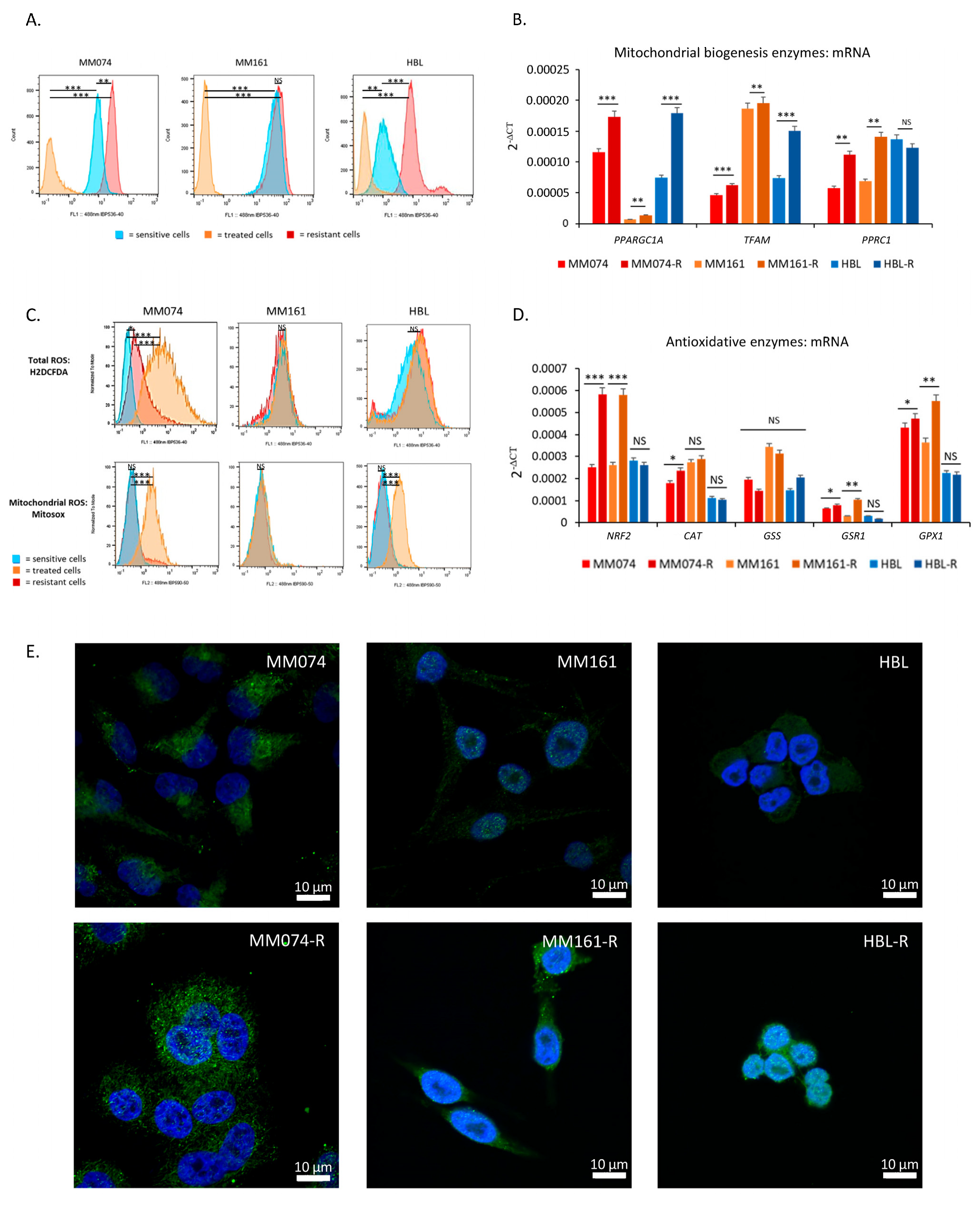Ijms 26 08241 g002 Ijms 26 08241 g002
