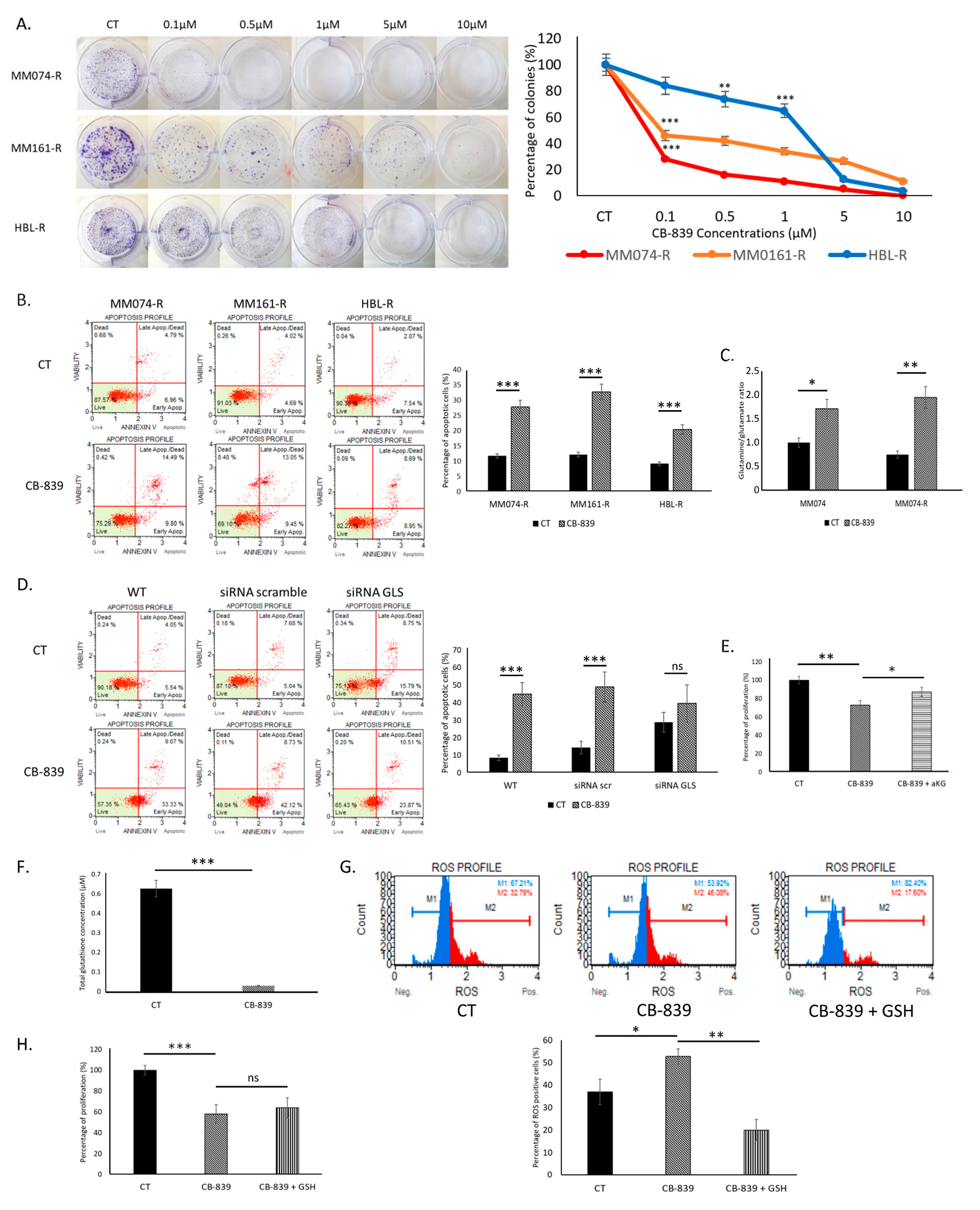 Ijms 26 08241 g003 Ijms 26 08241 g003