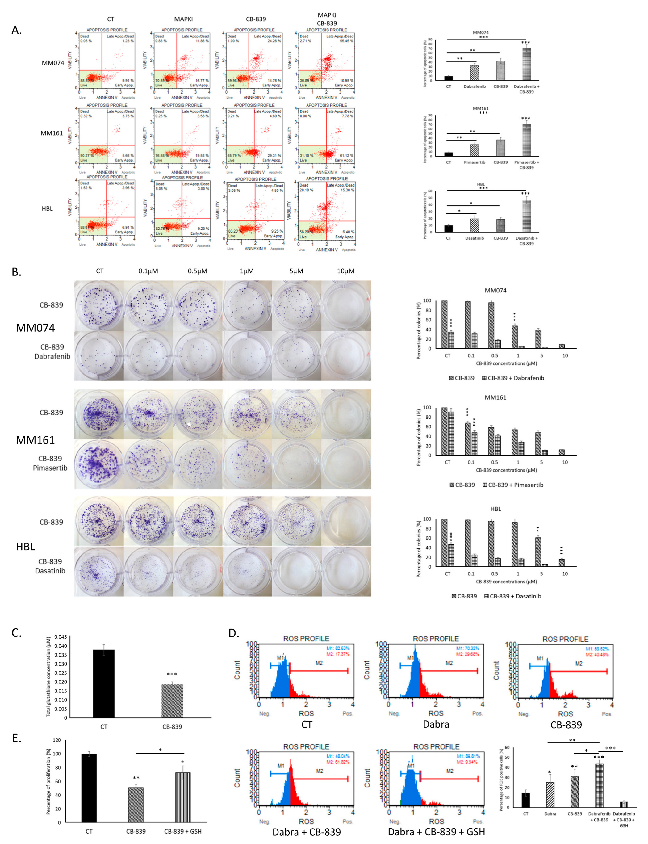 Ijms 26 08241 g004 Ijms 26 08241 g004