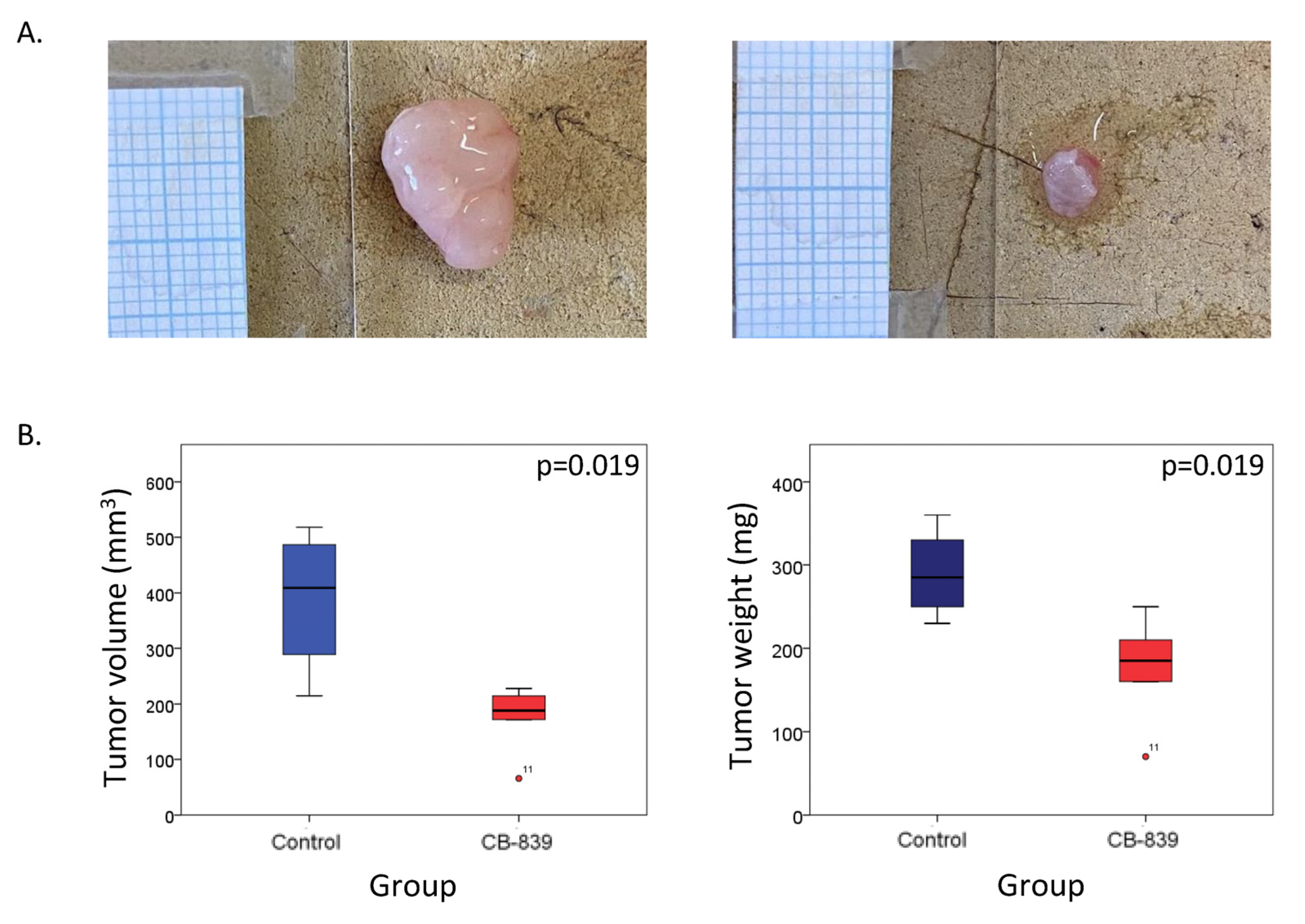 Ijms 26 08241 g005 Ijms 26 08241 g005