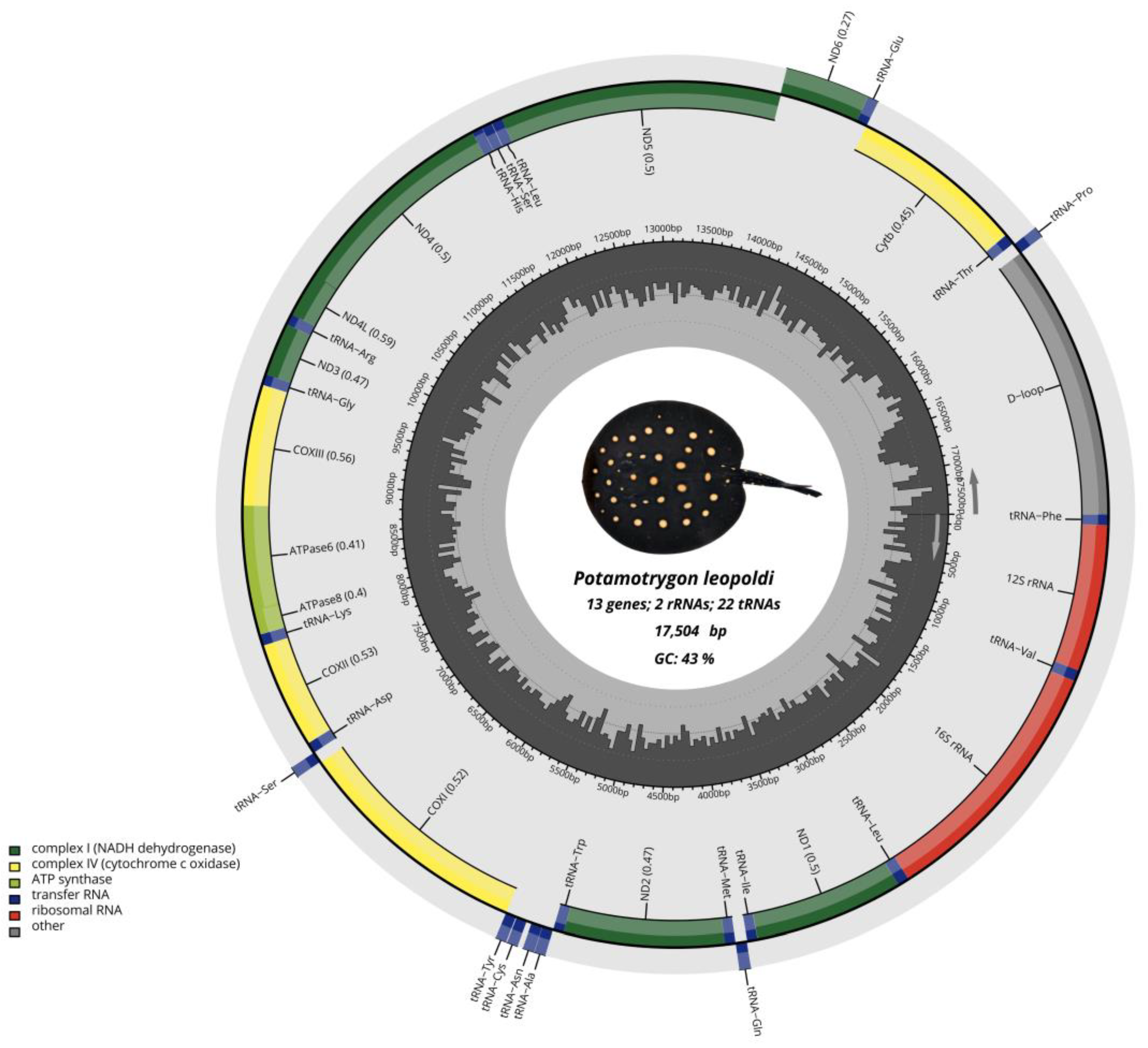 Ijms 26 08252 g001 Ijms 26 08252 g001
