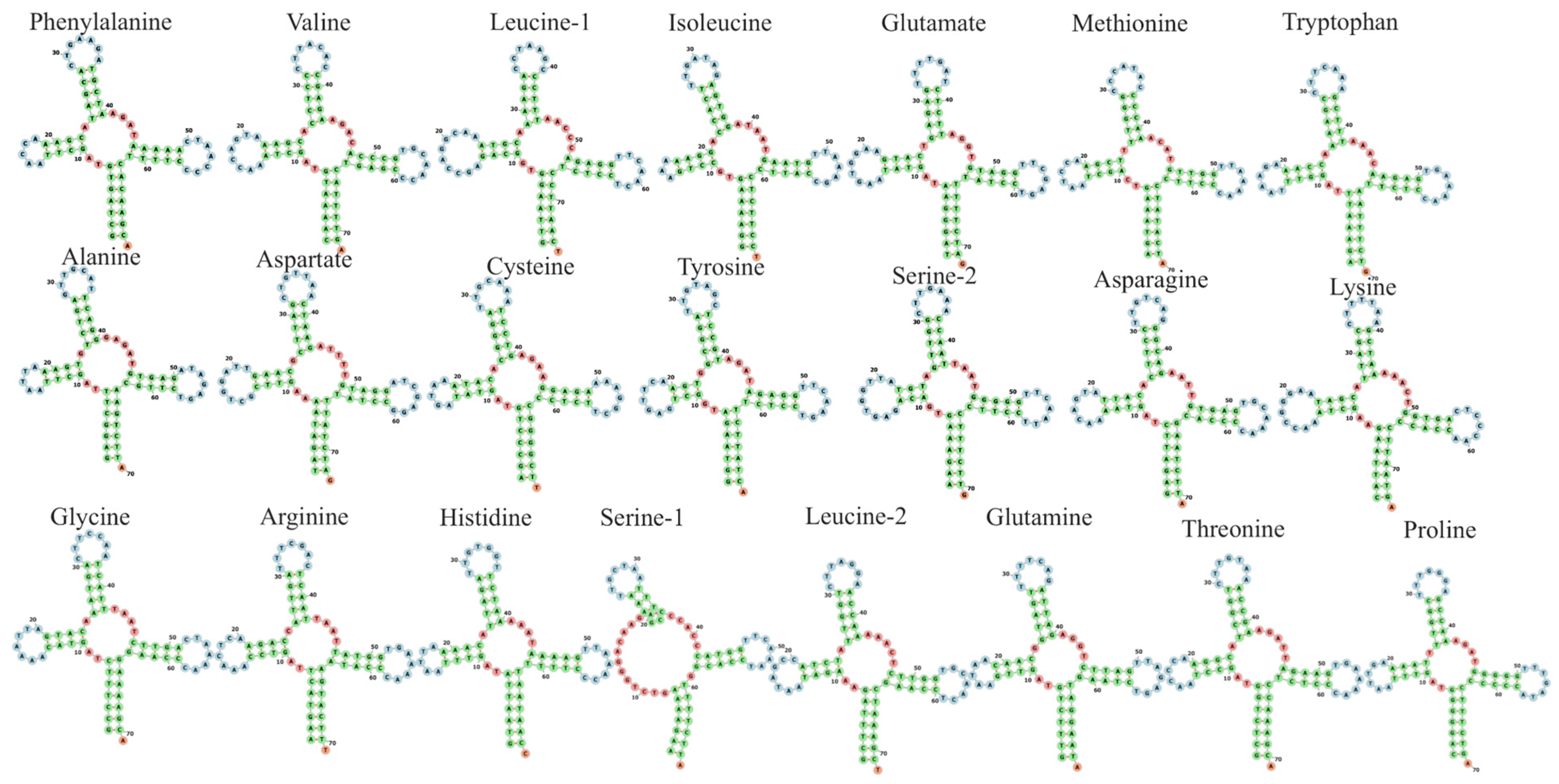 Ijms 26 08252 g002 Ijms 26 08252 g002