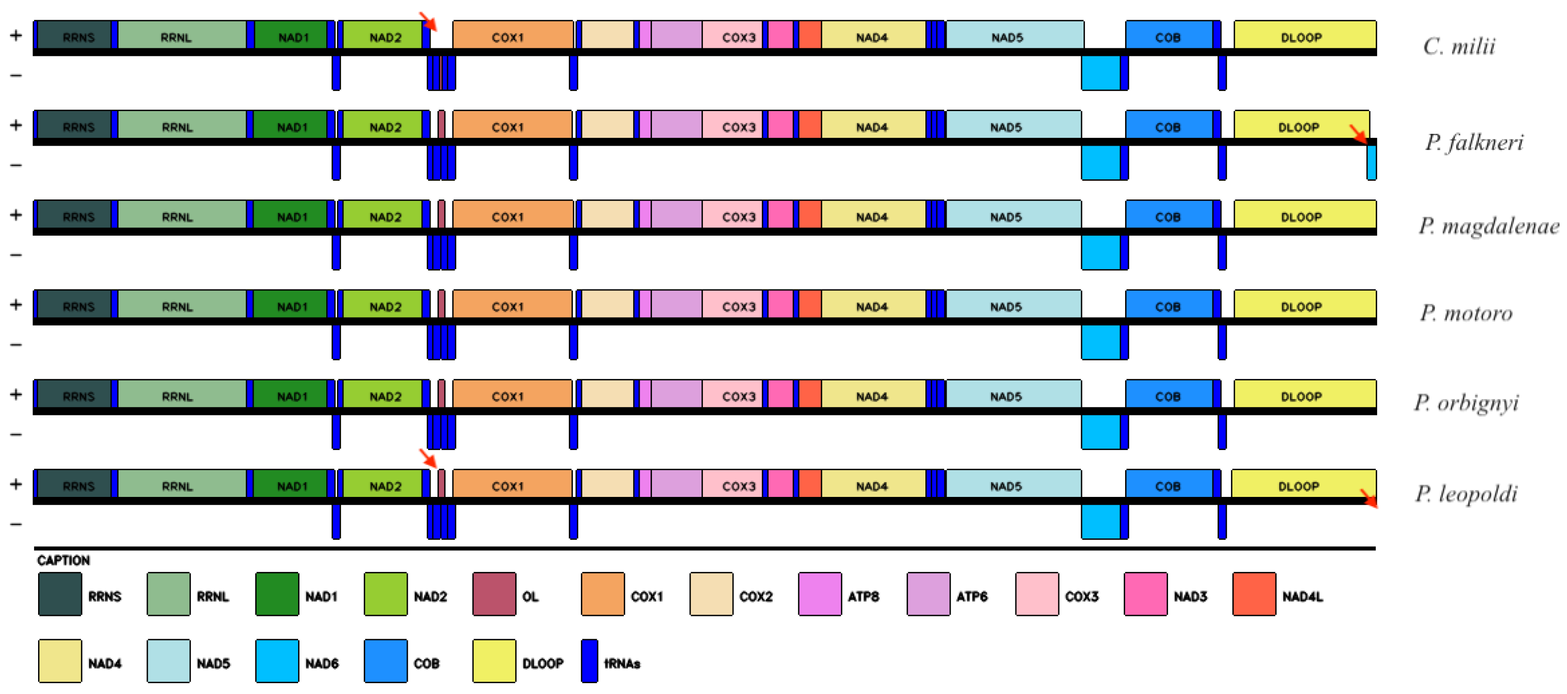 Ijms 26 08252 g003 Ijms 26 08252 g003