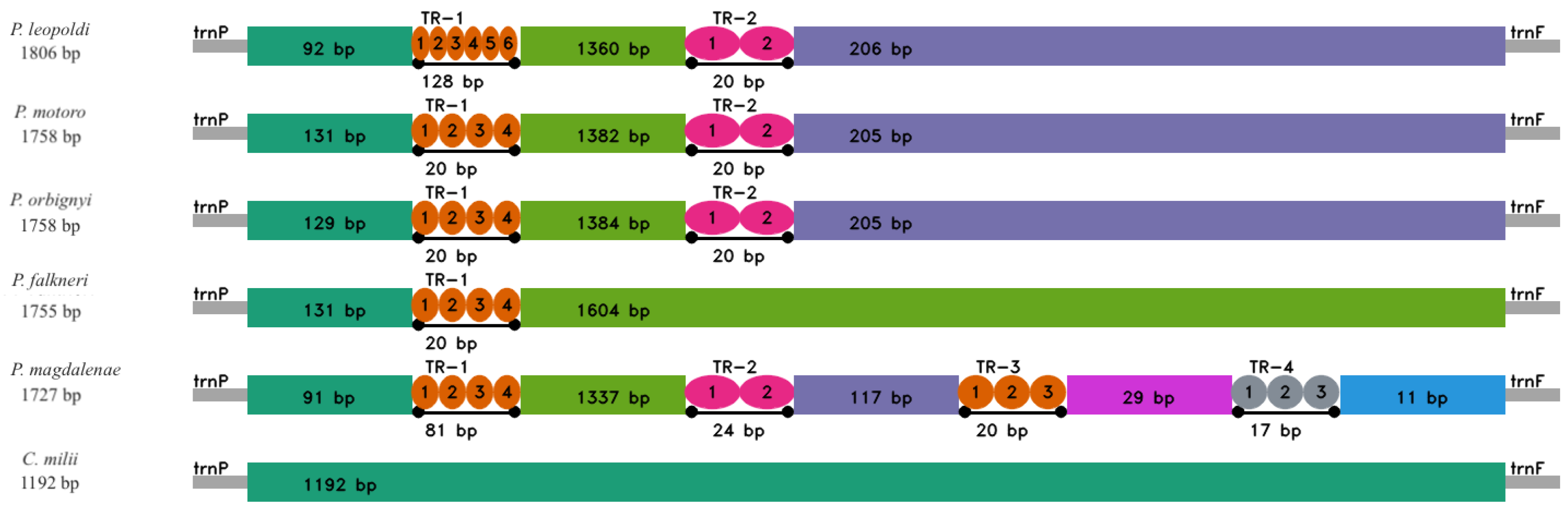 Ijms 26 08252 g005 Ijms 26 08252 g005