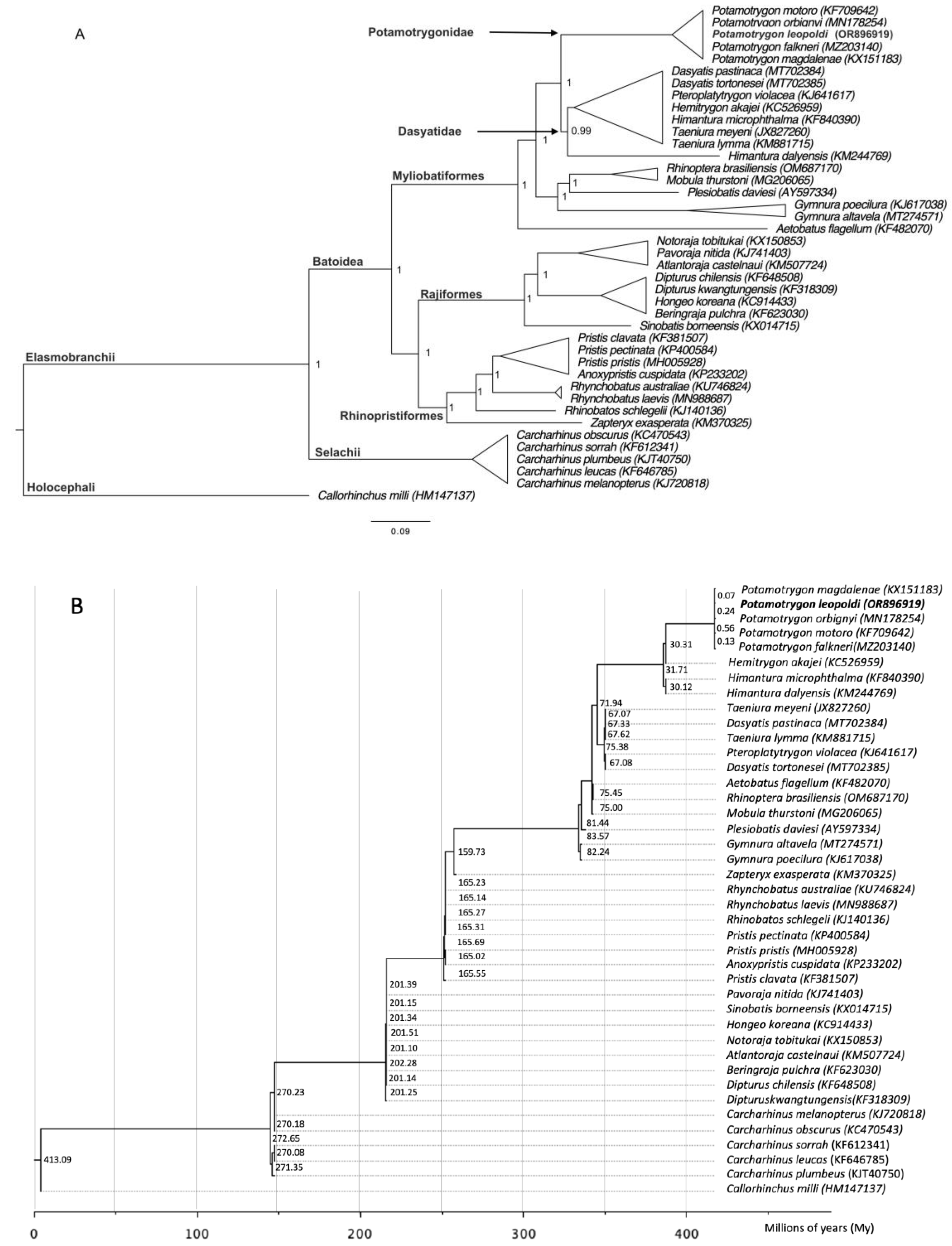 Ijms 26 08252 g006 Ijms 26 08252 g006
