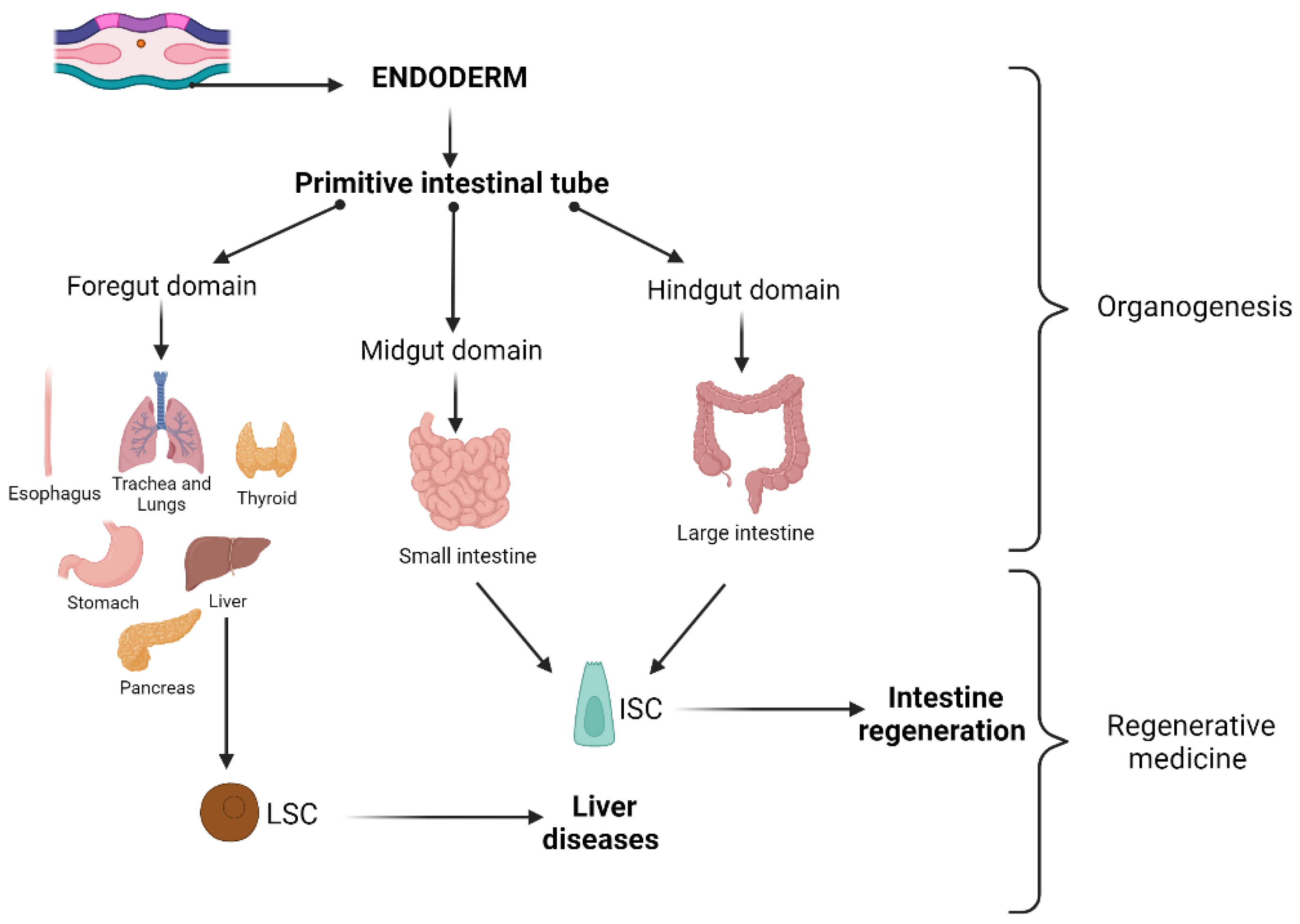 Ijms 26 08255 g003 Ijms 26 08255 g003