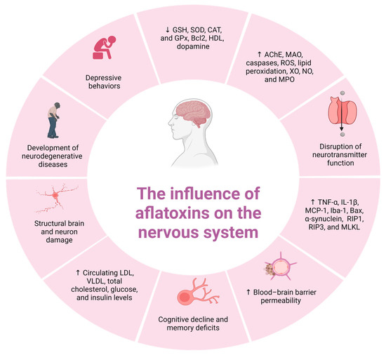 専用ページ２ Impact of Aflatoxins on the Digestive, Immune, and Nervous