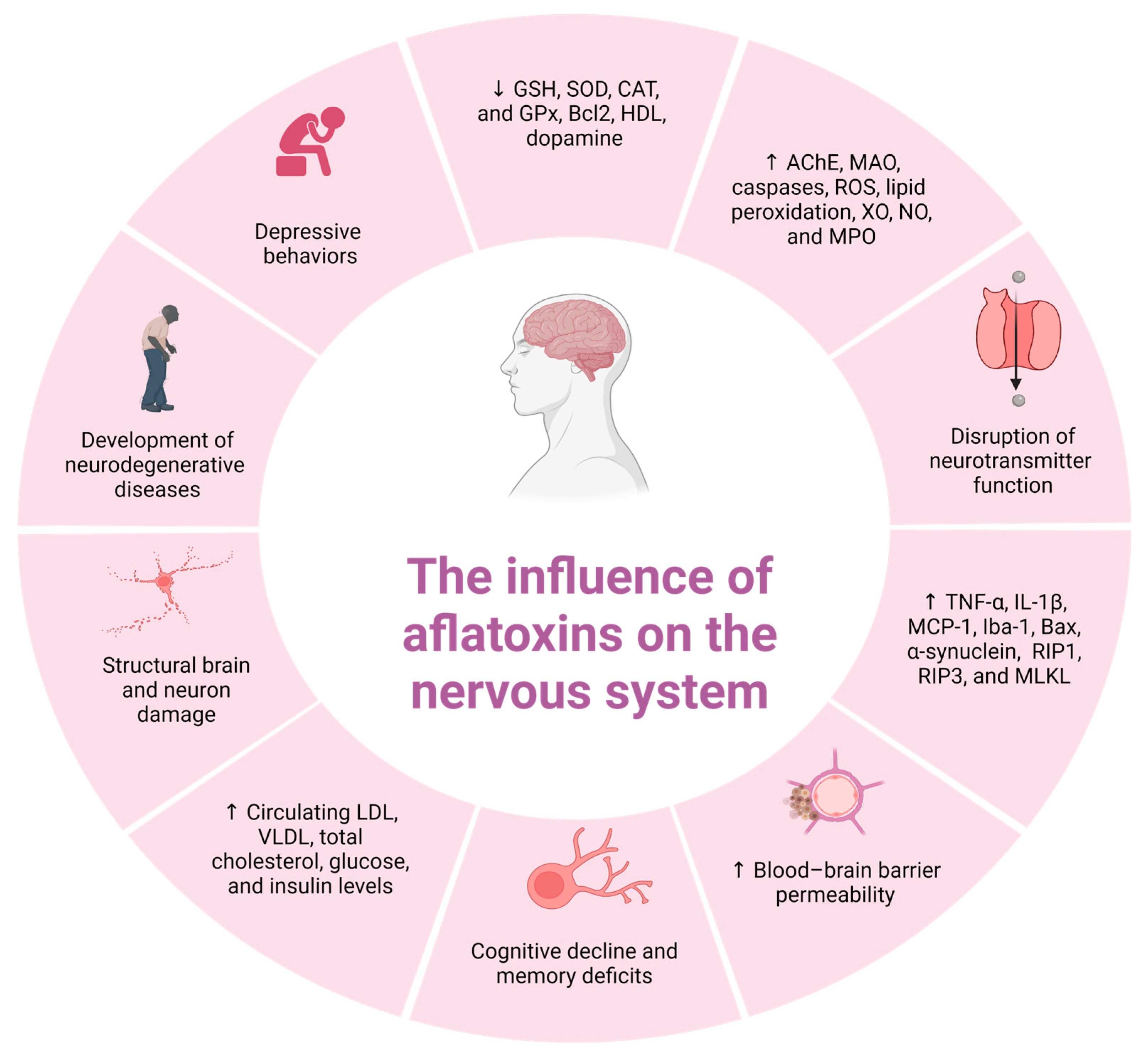 Ijms 26 08258 g003 Ijms 26 08258 g003