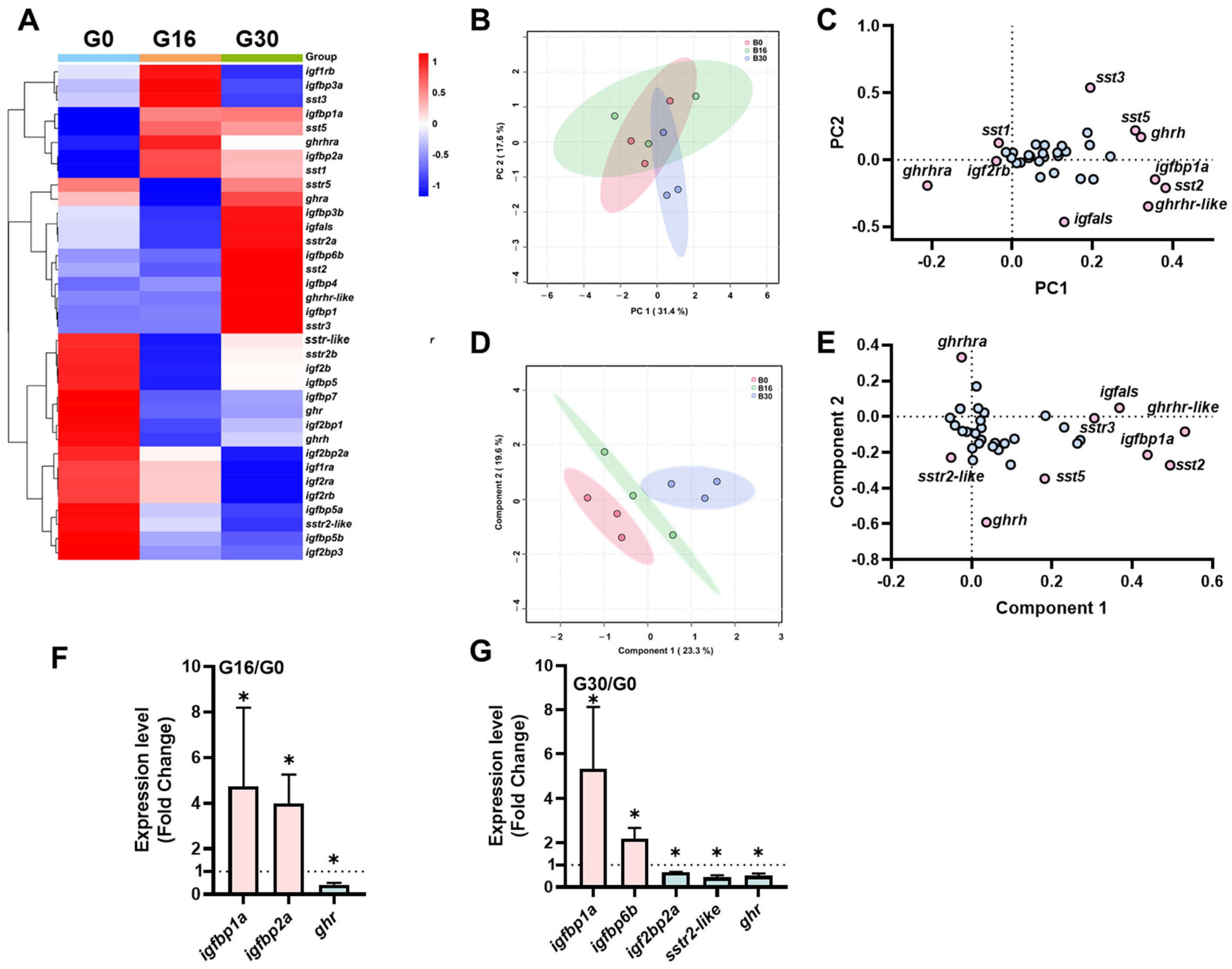 Ijms 26 08261 g002 Ijms 26 08261 g002