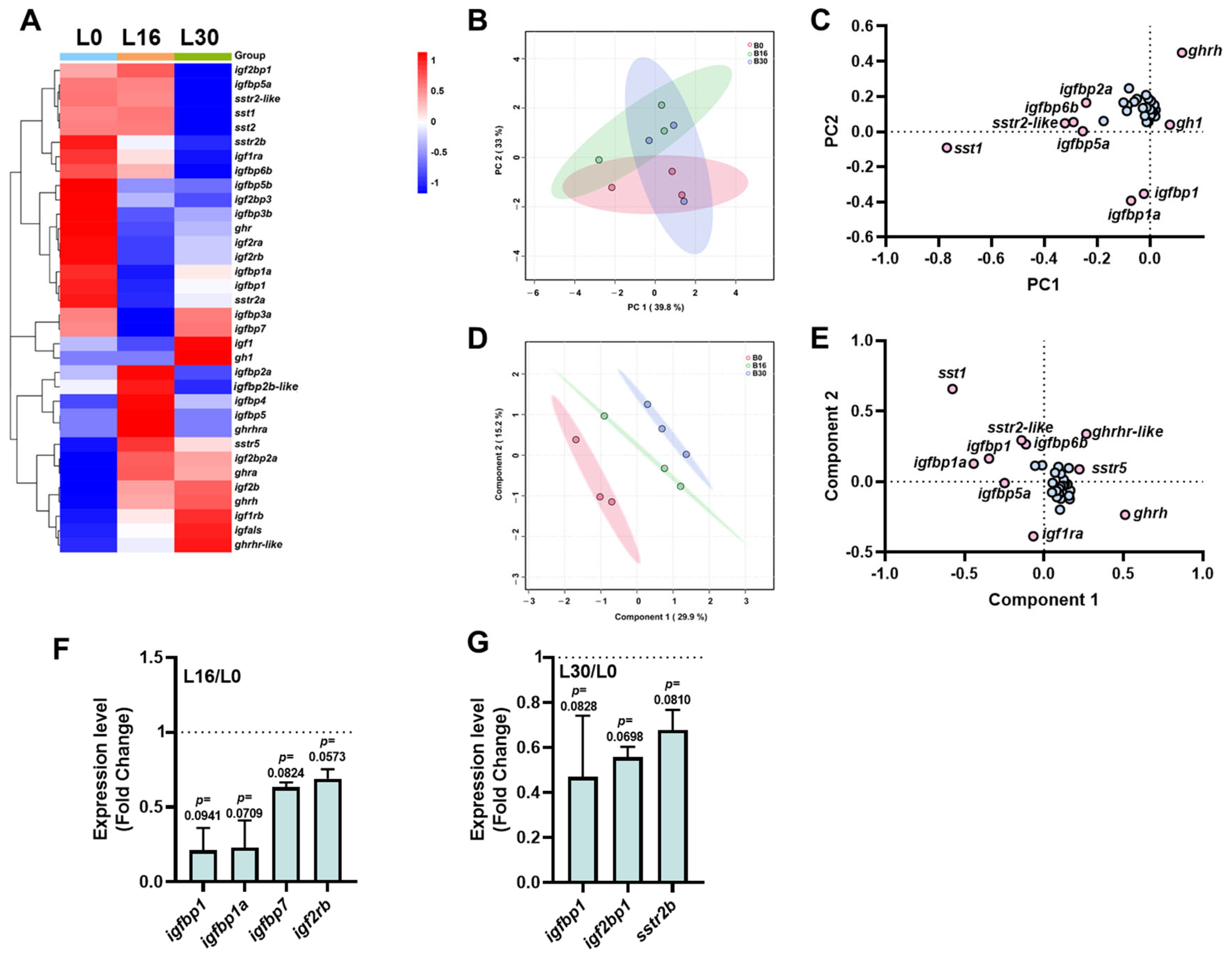 Ijms 26 08261 g003 Ijms 26 08261 g003