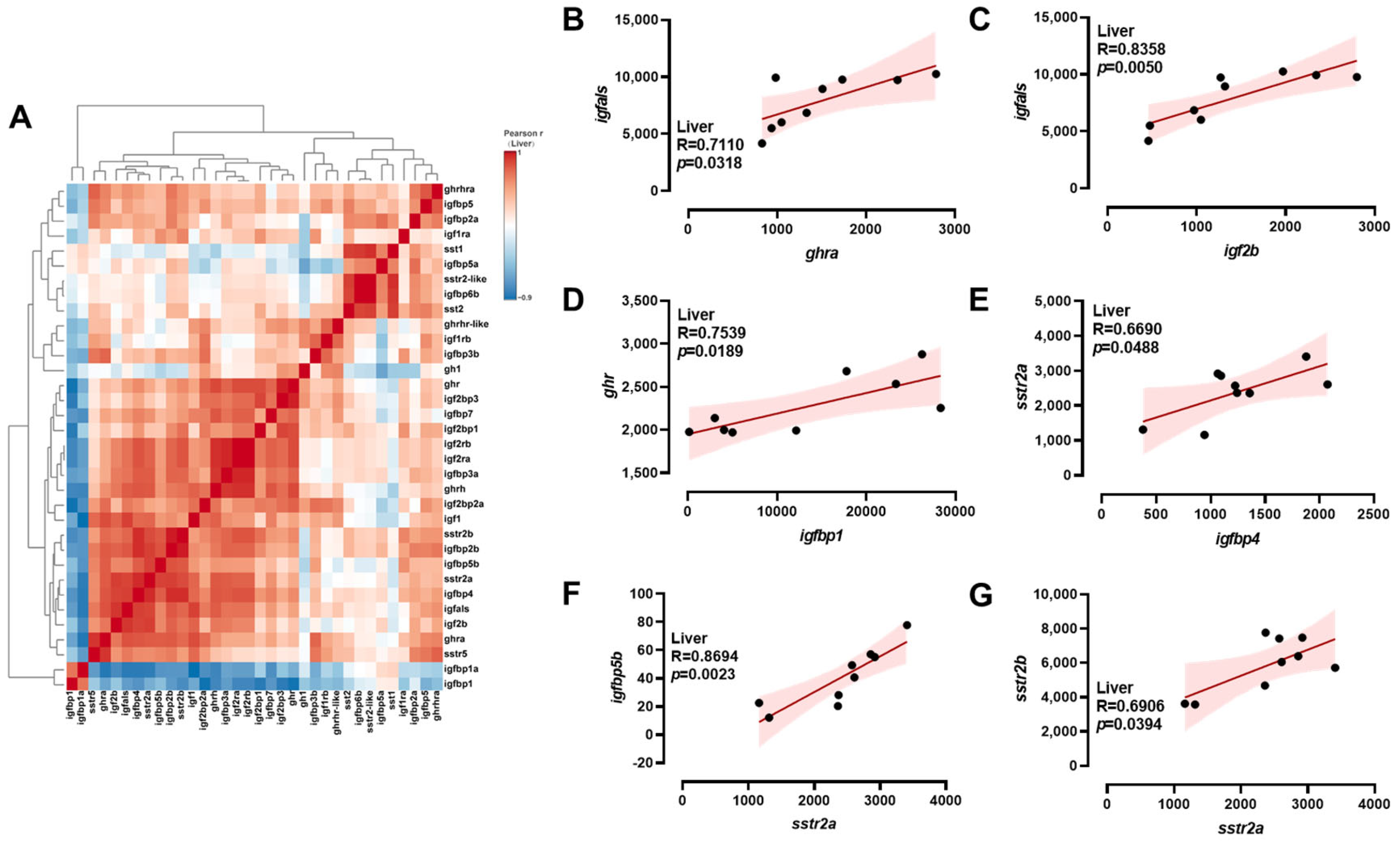 Ijms 26 08261 g006 Ijms 26 08261 g006