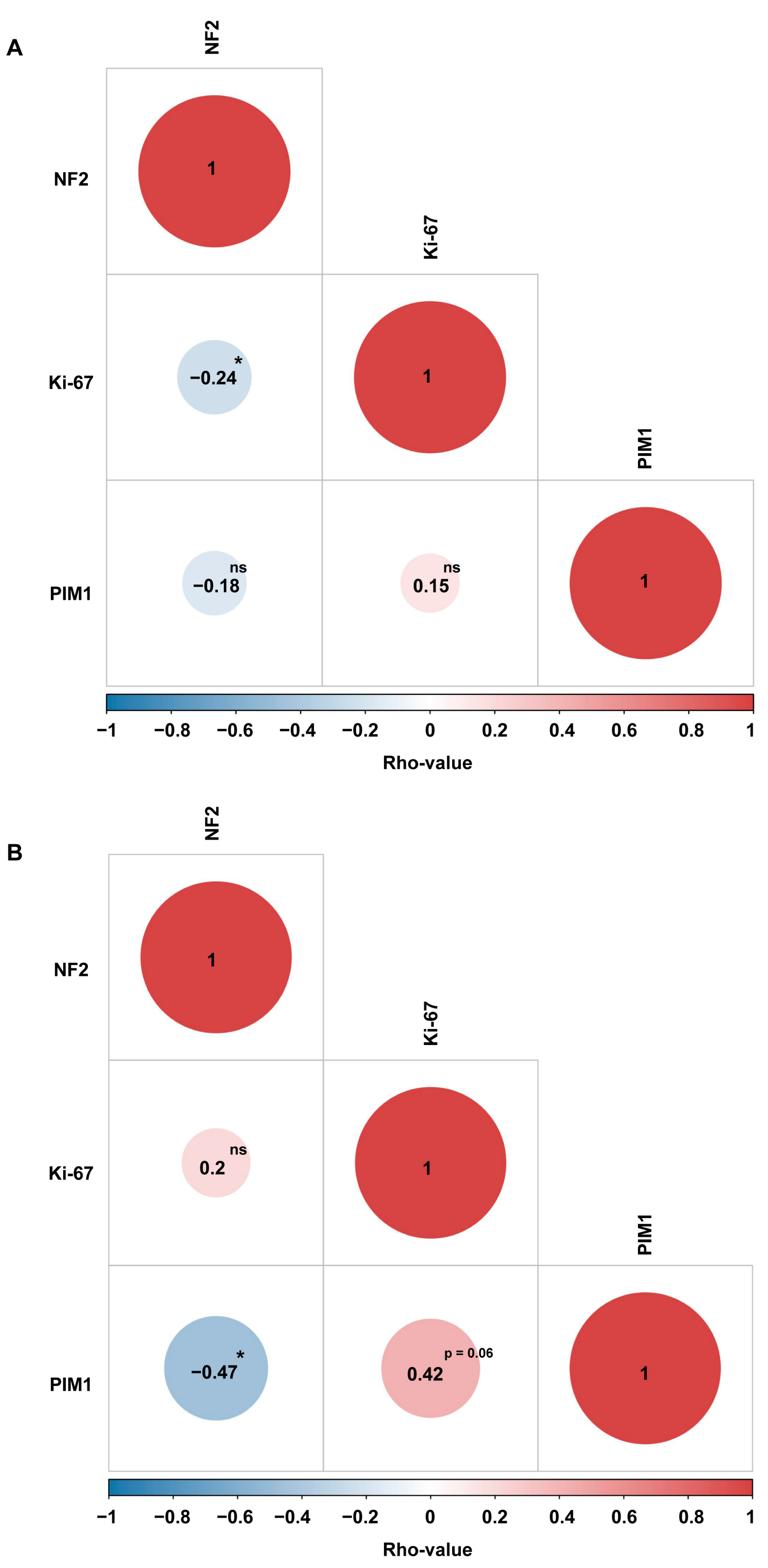 Ijms 26 08263 g003 Ijms 26 08263 g003