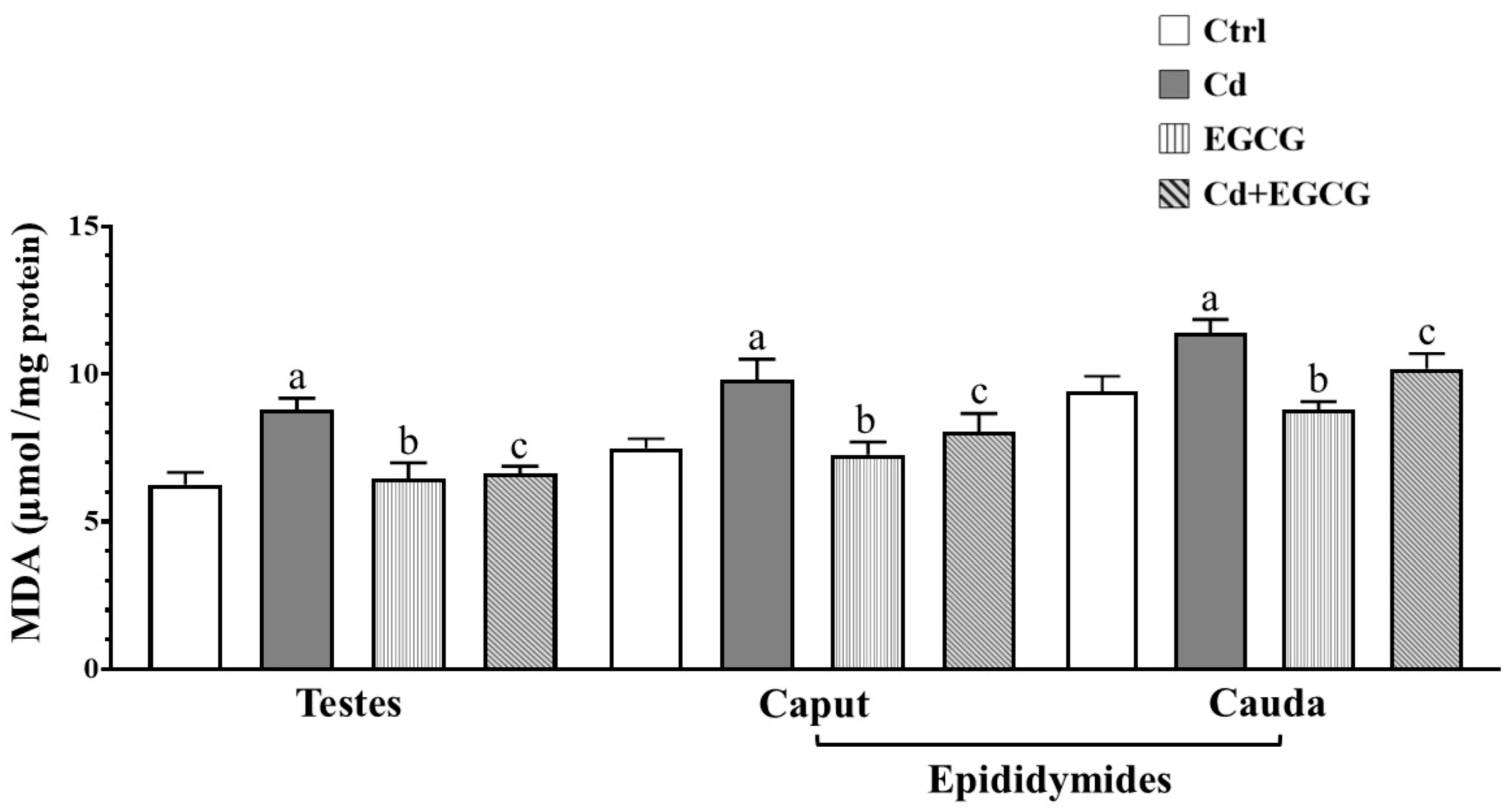 Ijms 26 08264 g001 Ijms 26 08264 g001