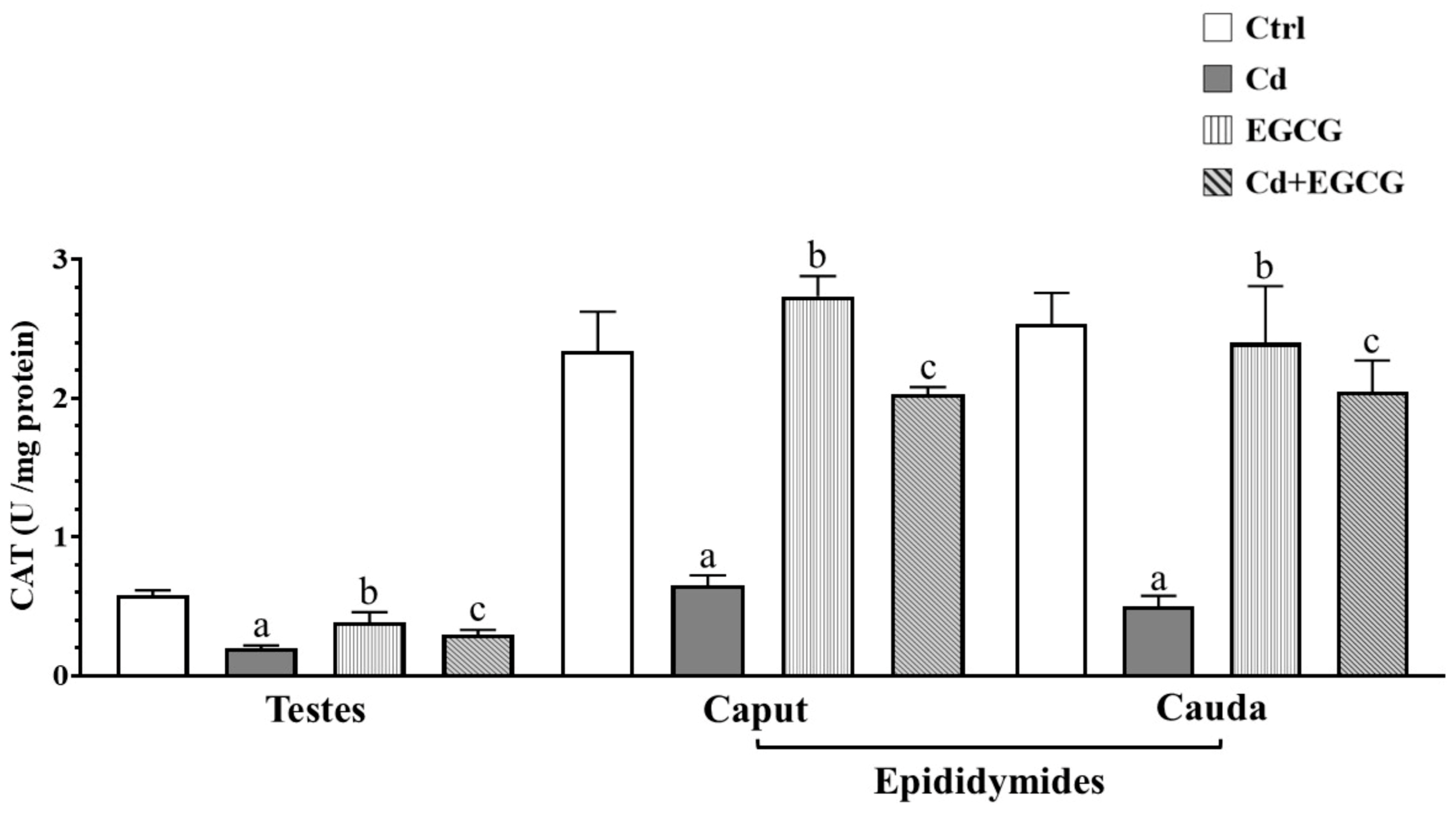 Ijms 26 08264 g003 Ijms 26 08264 g003