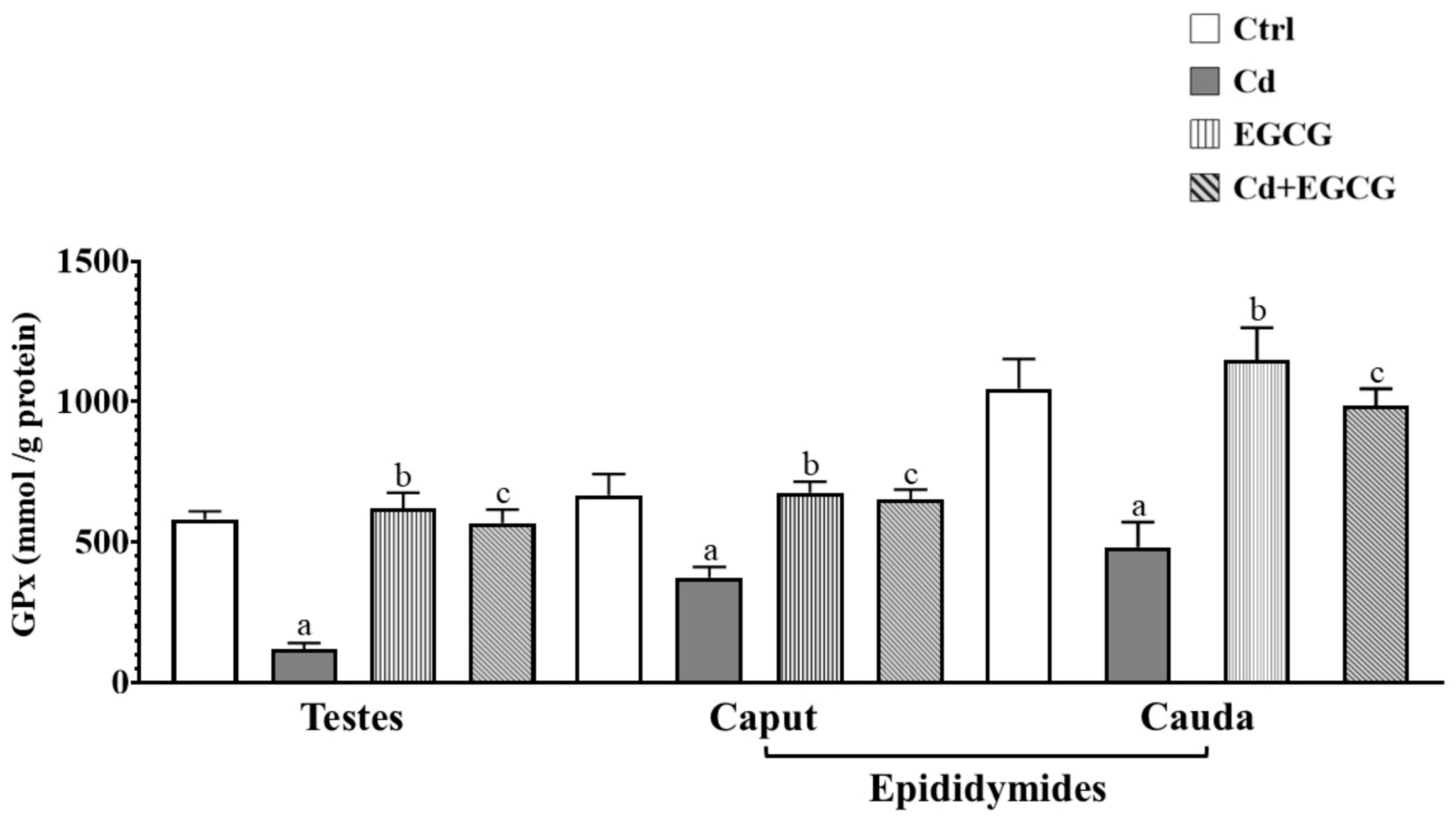 Ijms 26 08264 g004 Ijms 26 08264 g004
