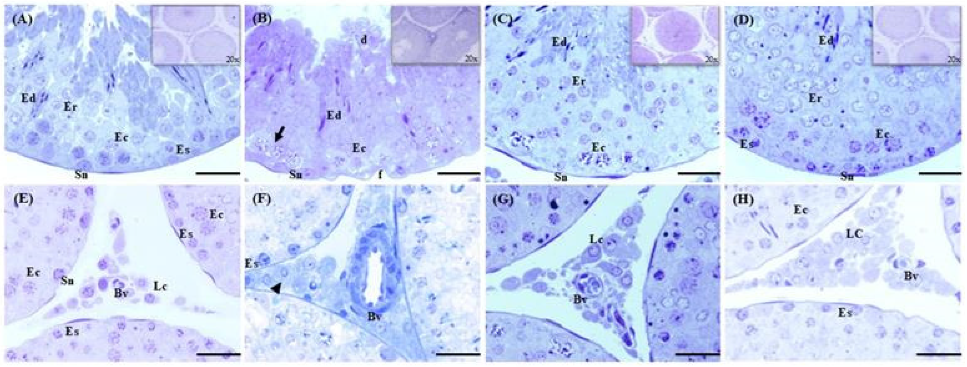 Ijms 26 08264 g005 Ijms 26 08264 g005