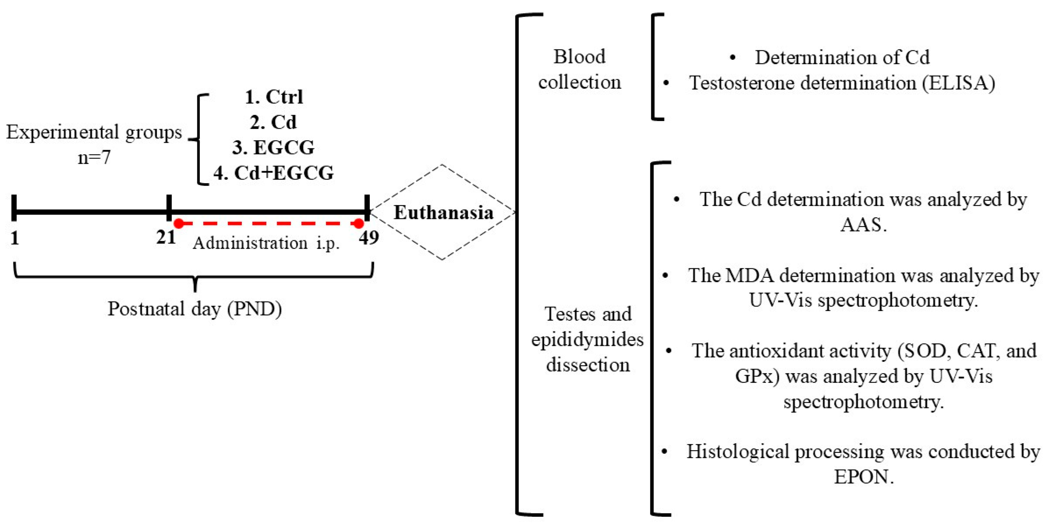 Ijms 26 08264 g007 Ijms 26 08264 g007