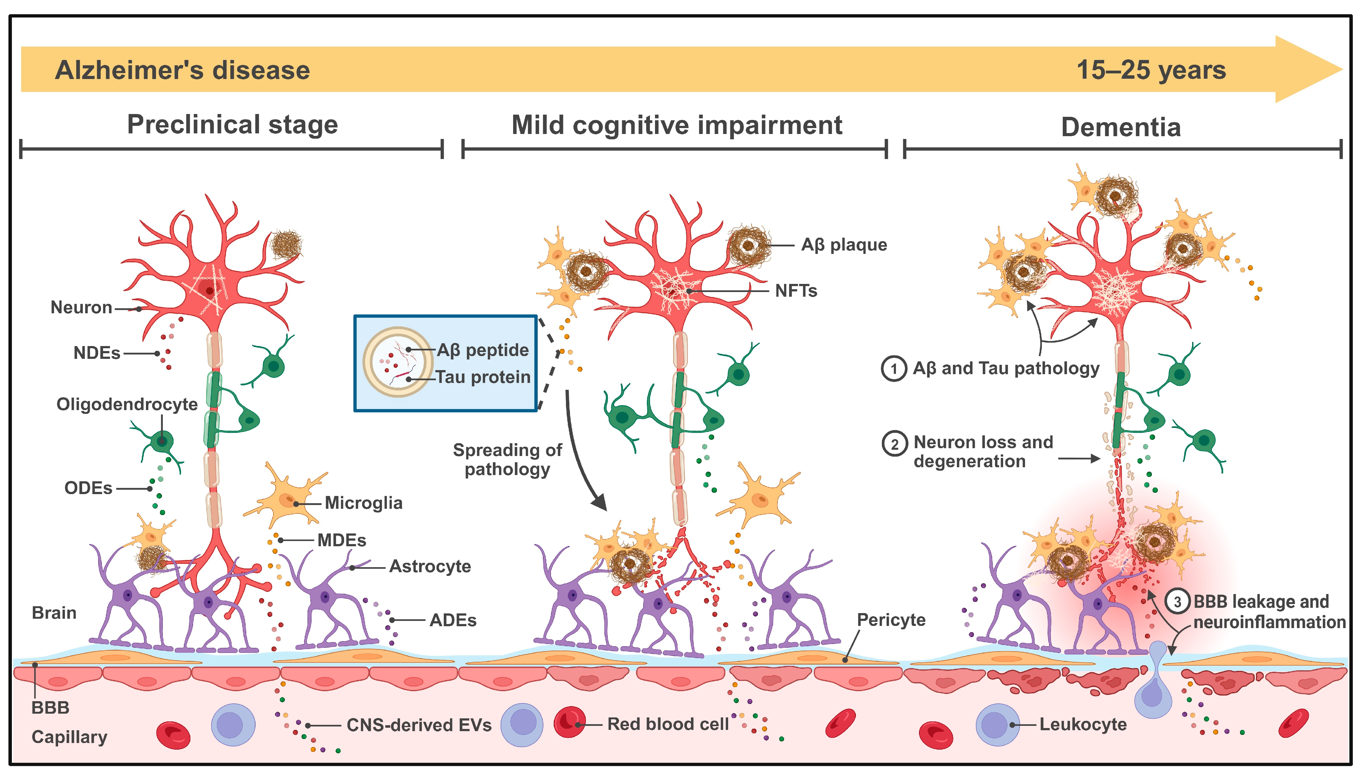 Ijms 26 08272 g001 Ijms 26 08272 g001