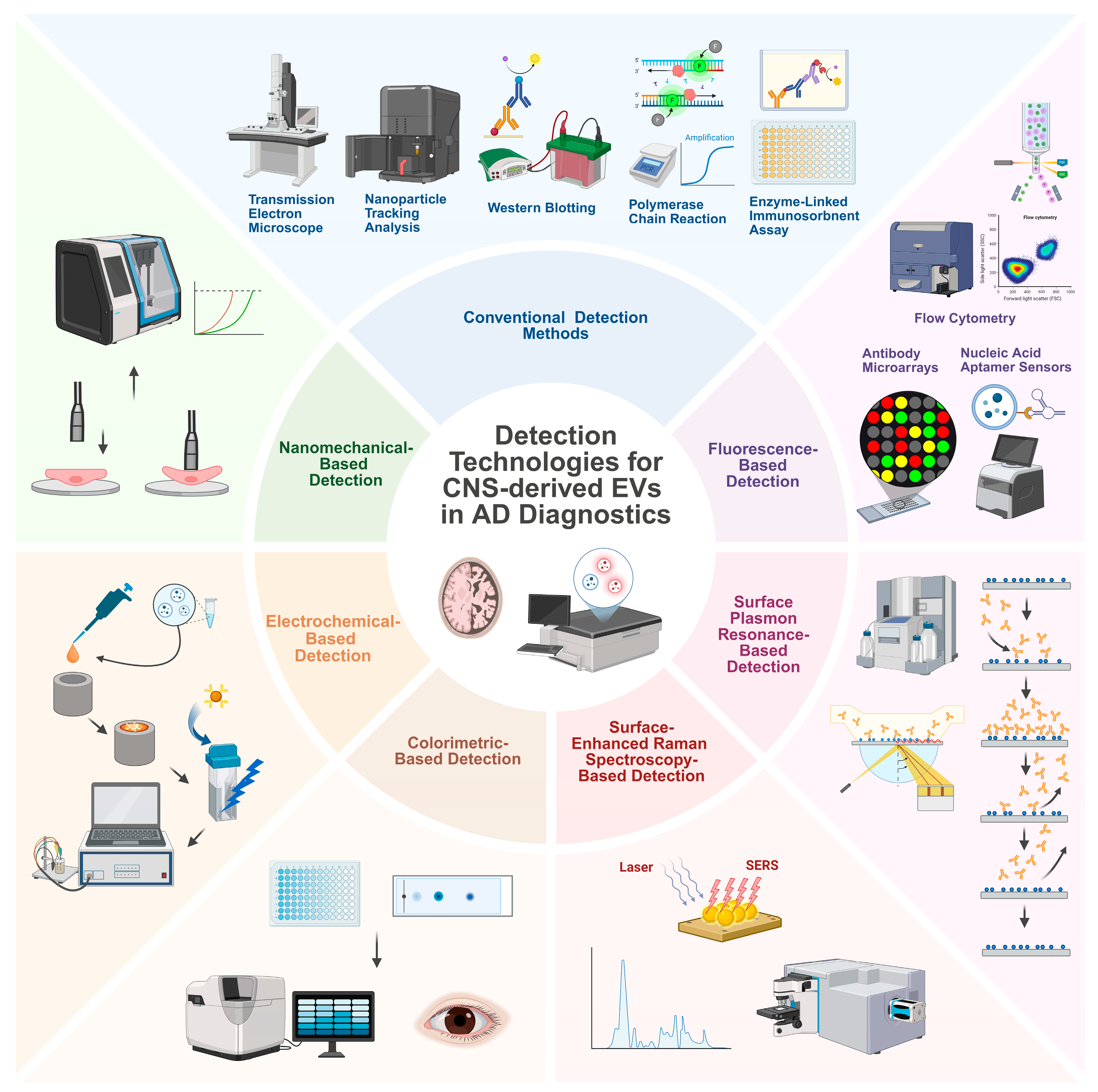 Ijms 26 08272 g002 Ijms 26 08272 g002
