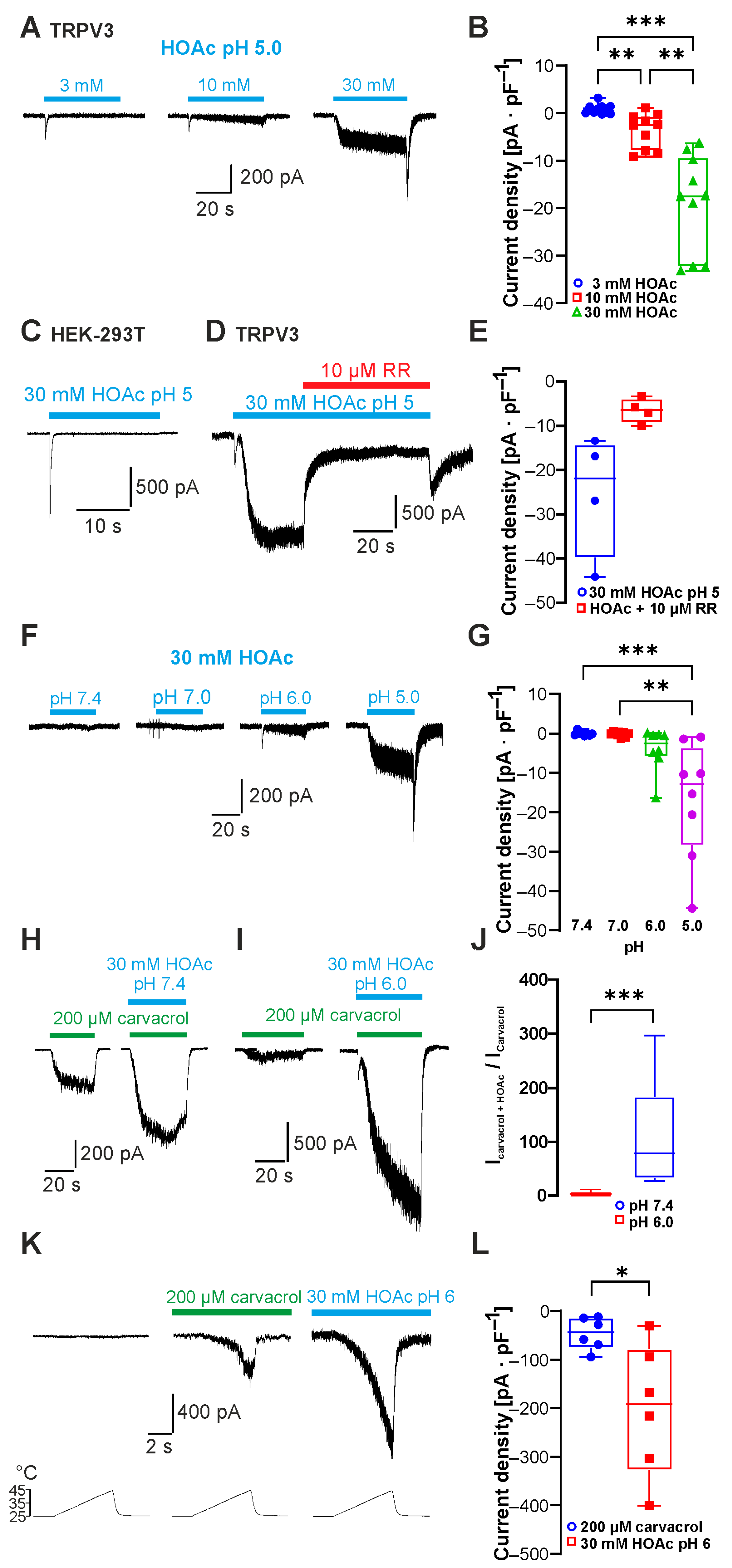 Ijms 26 08275 g001 Ijms 26 08275 g001