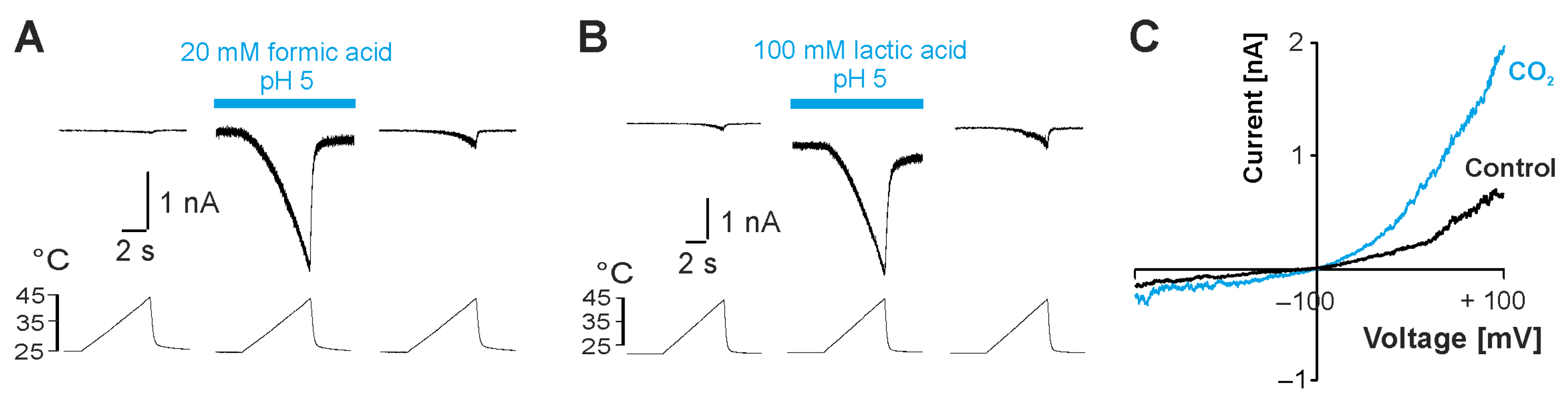Ijms 26 08275 g002 Ijms 26 08275 g002
