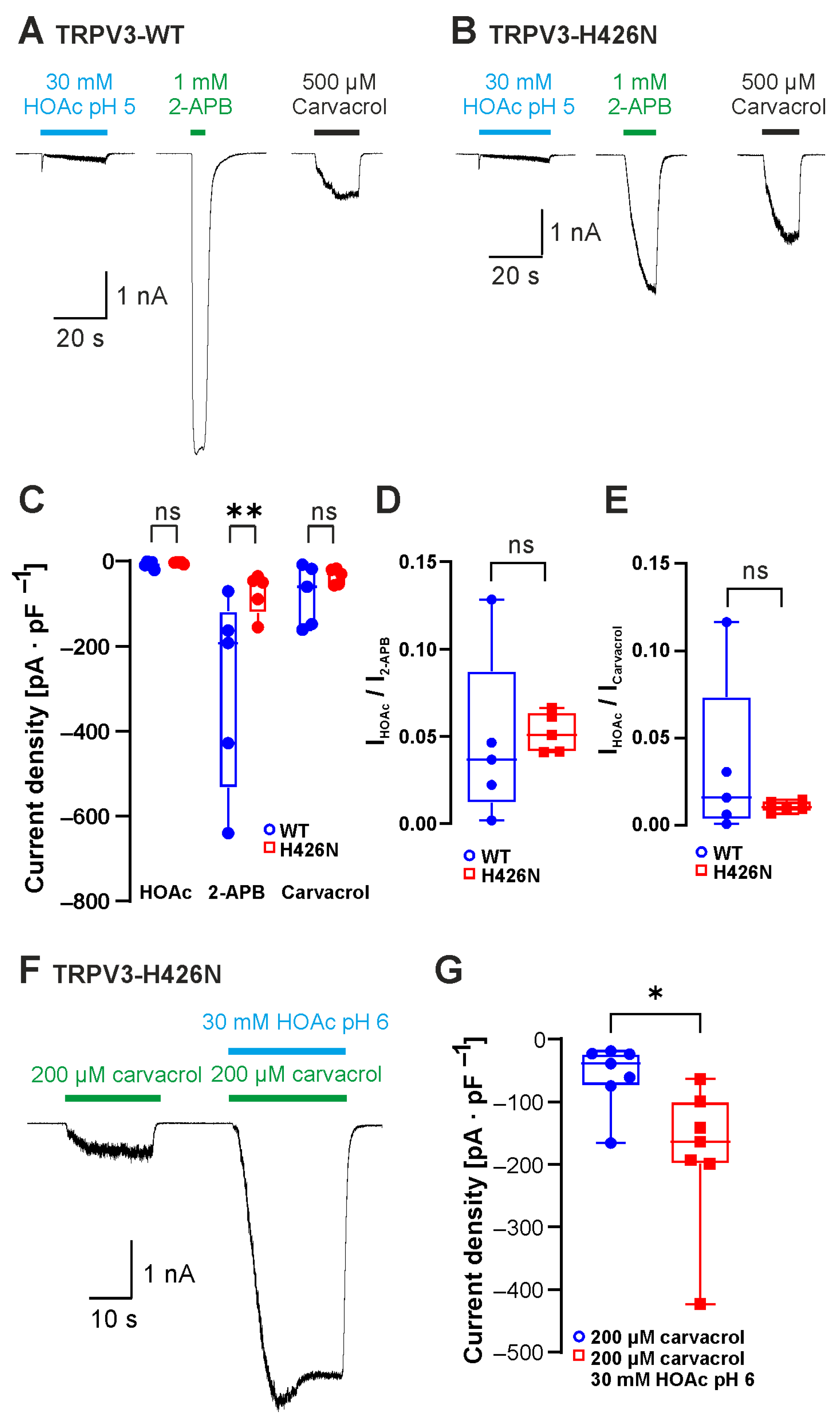 Ijms 26 08275 g003 Ijms 26 08275 g003