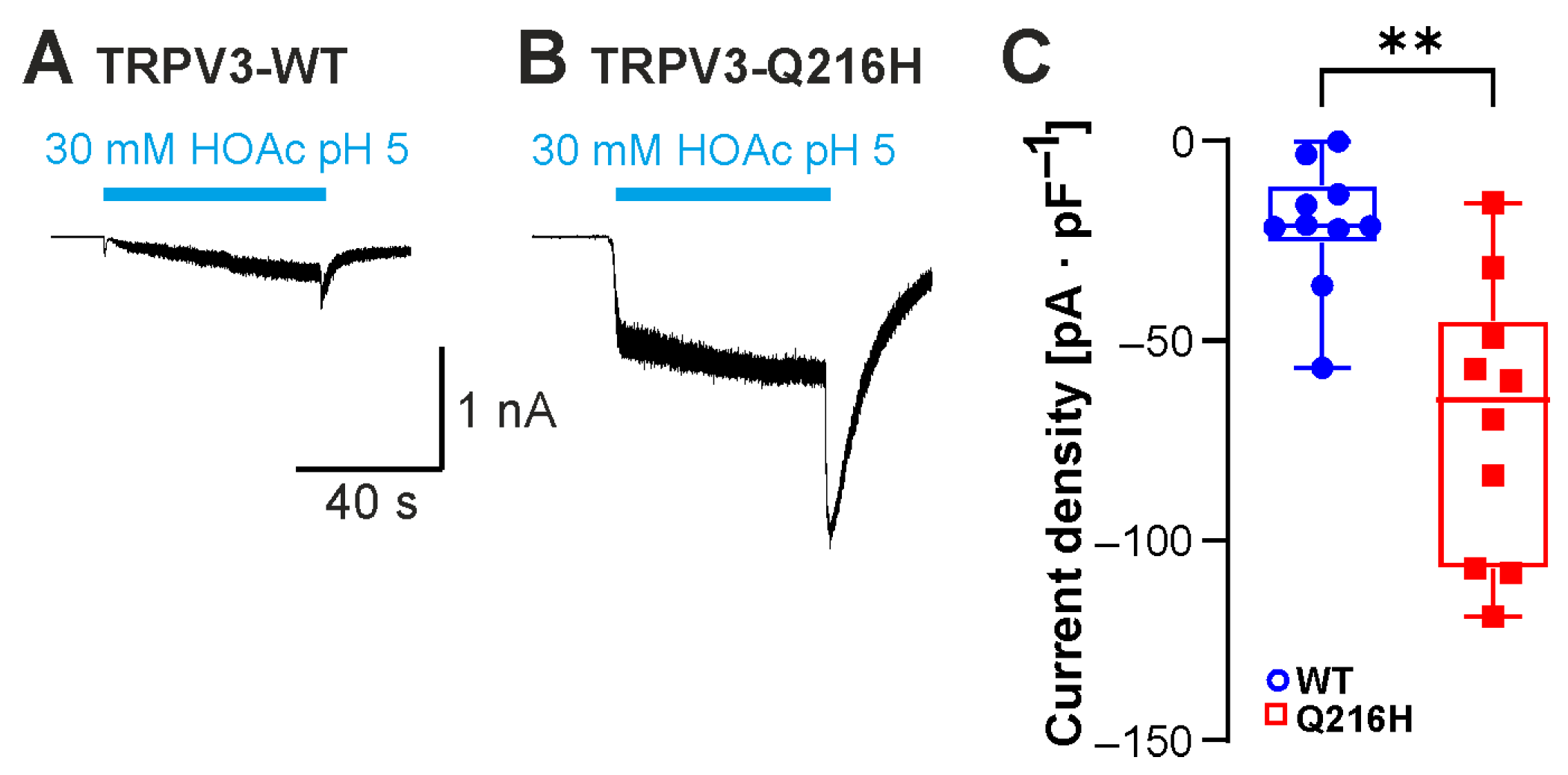 Ijms 26 08275 g007 Ijms 26 08275 g007