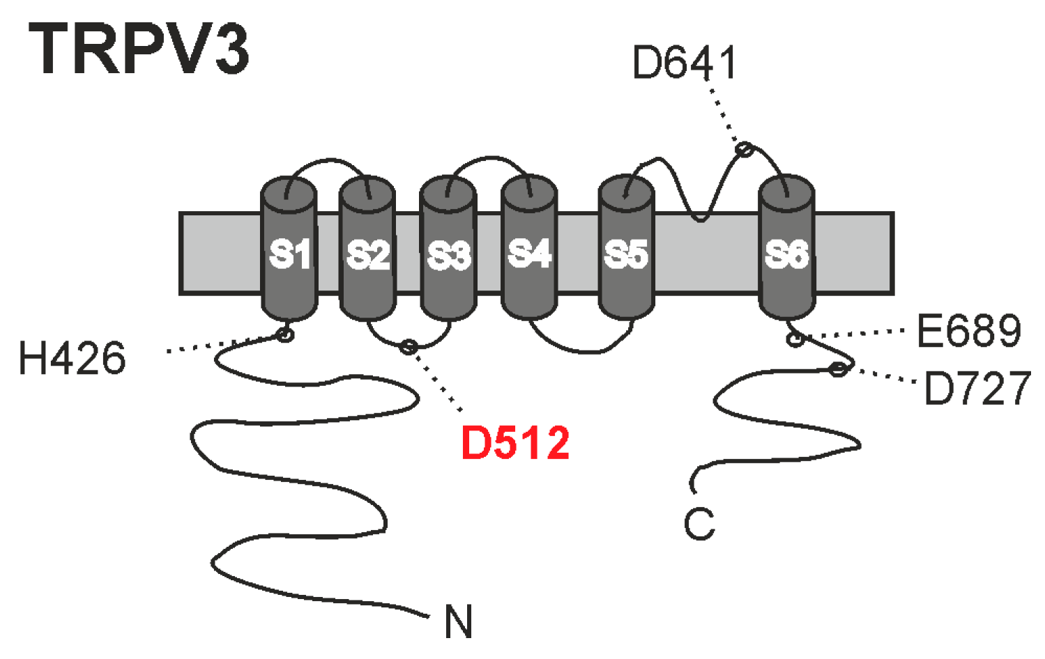 Ijms 26 08275 g008 Ijms 26 08275 g008