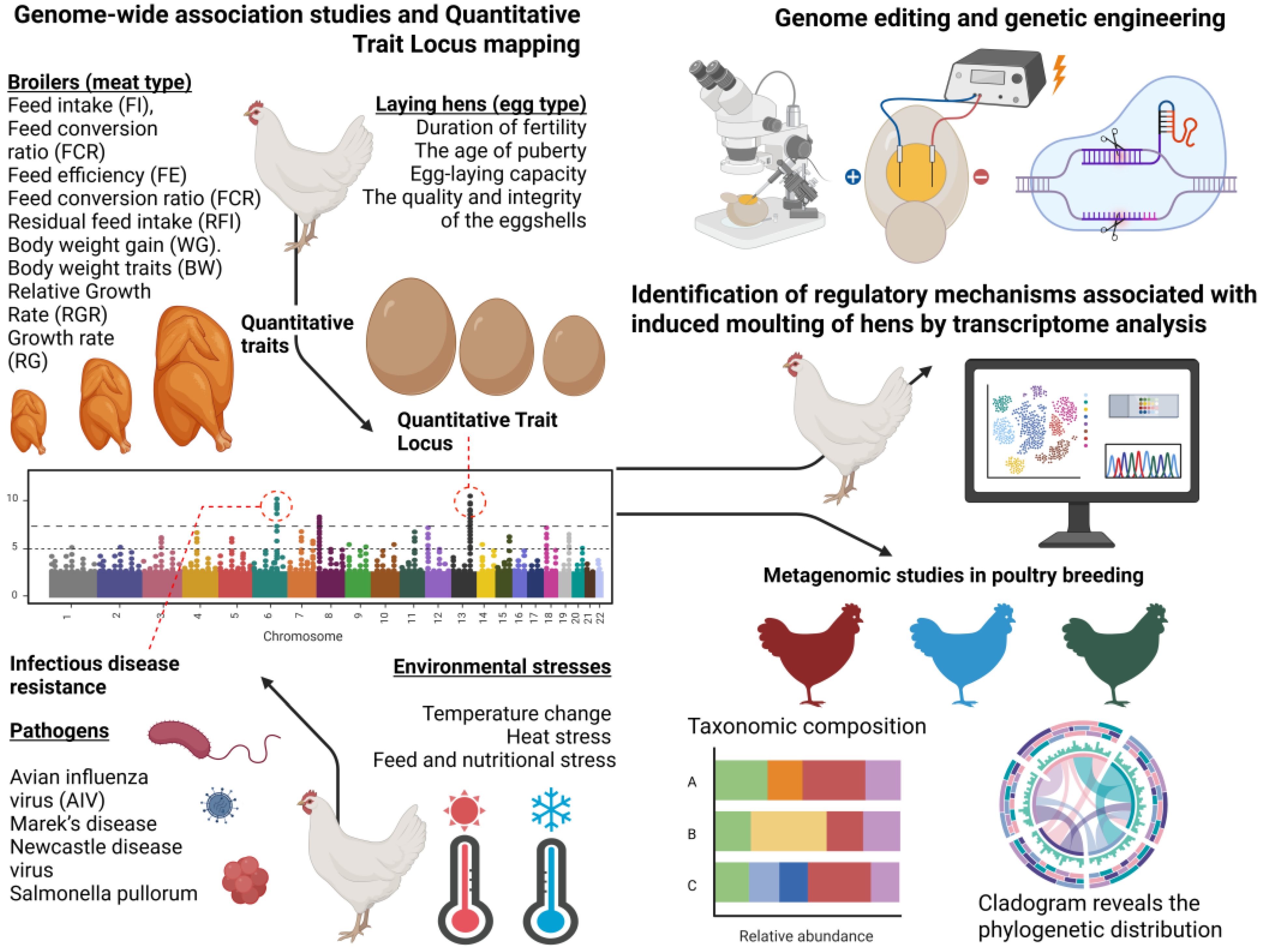Ijms 26 08285 g001 Ijms 26 08285 g001