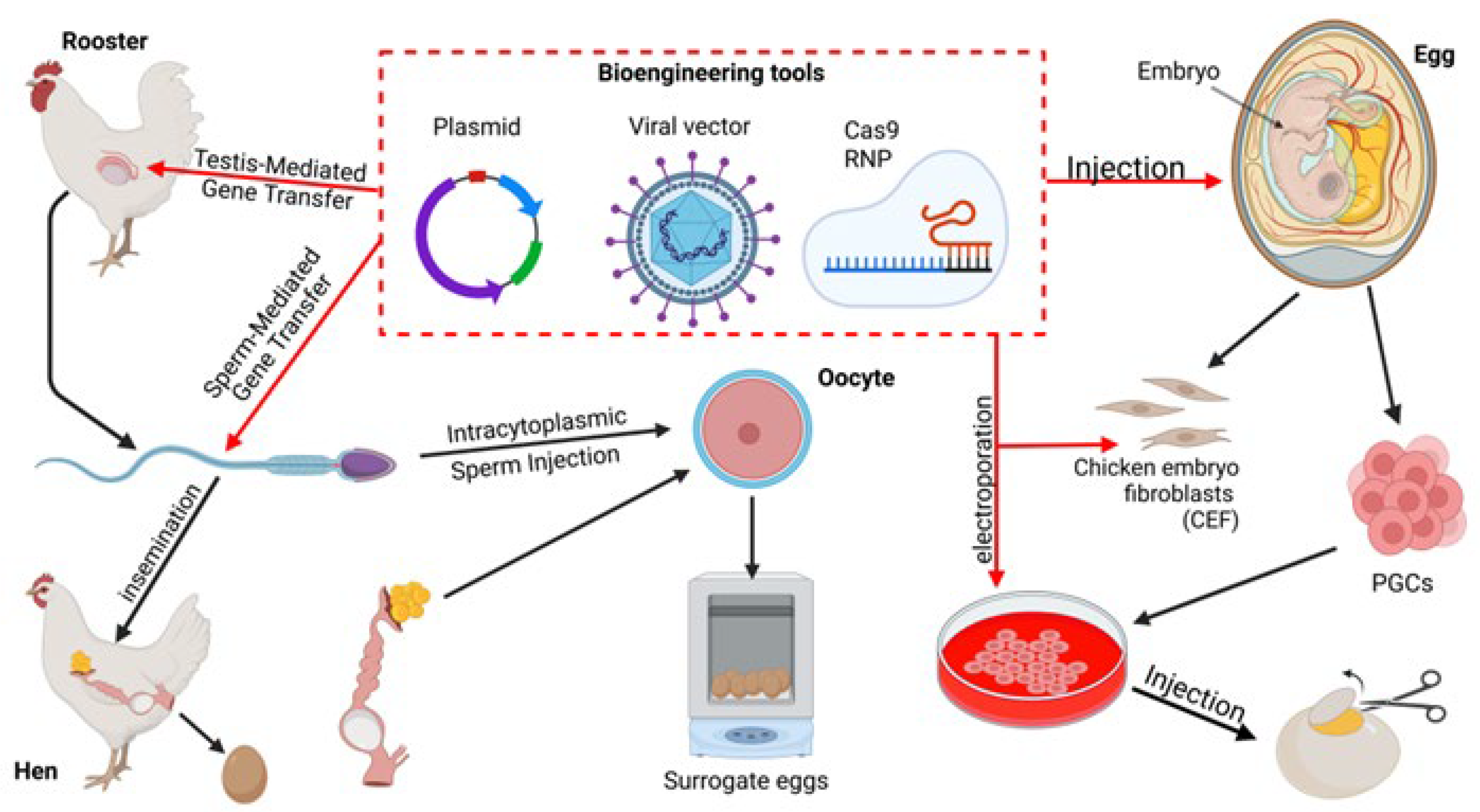 Ijms 26 08285 g002 Ijms 26 08285 g002
