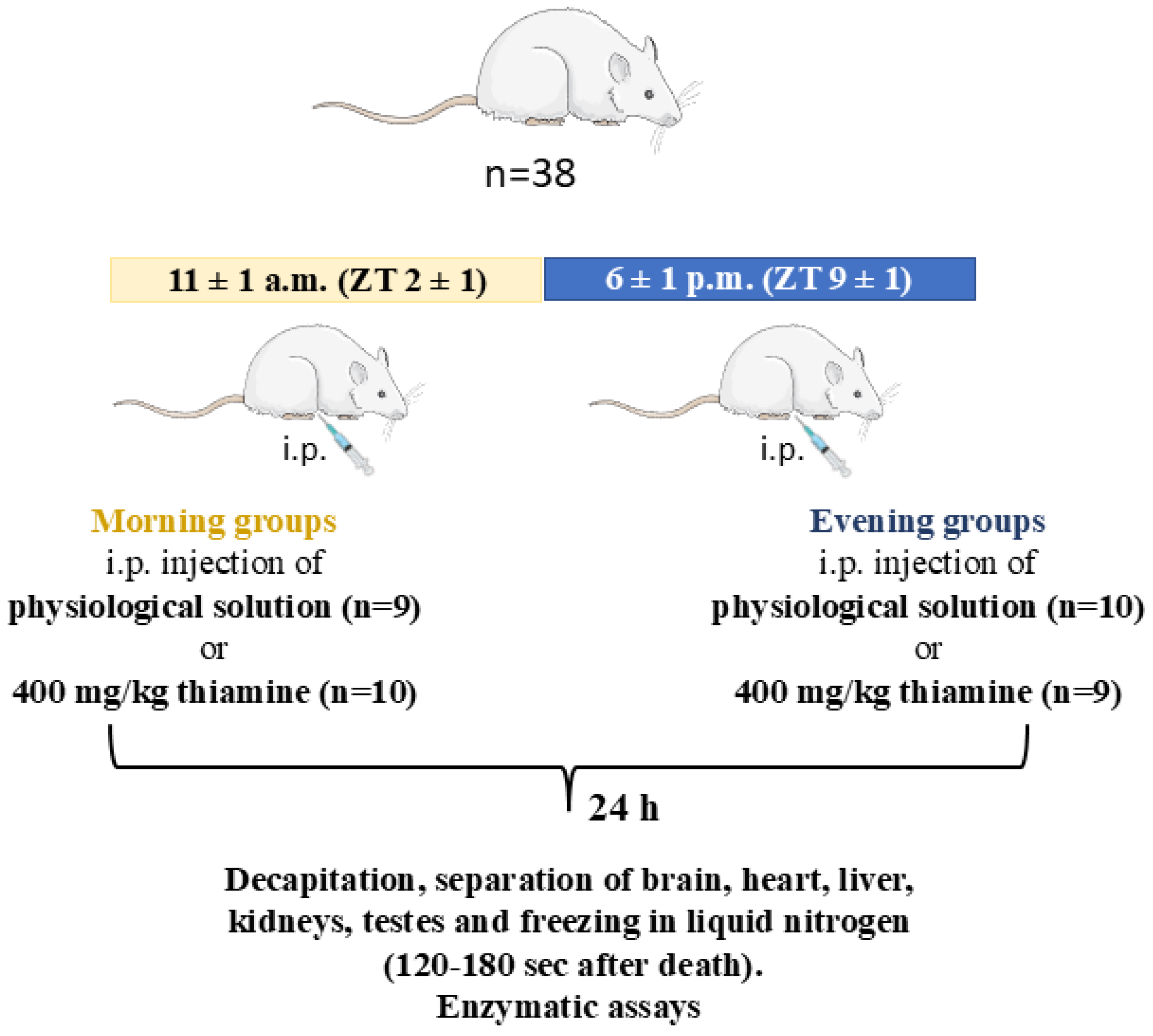 Ijms 26 08296 g007 Ijms 26 08296 g007