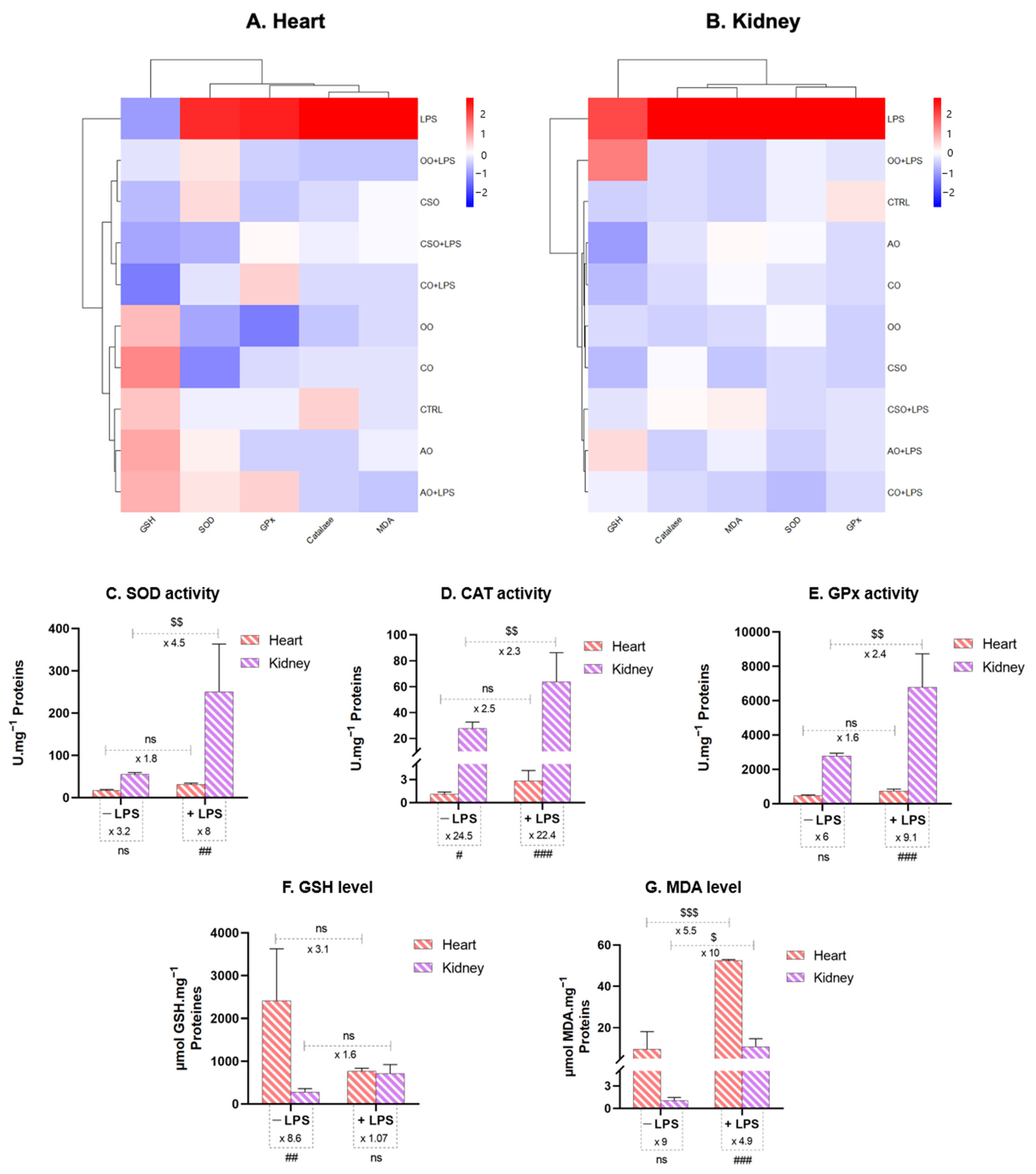 Ijms 26 08300 g008 Ijms 26 08300 g008