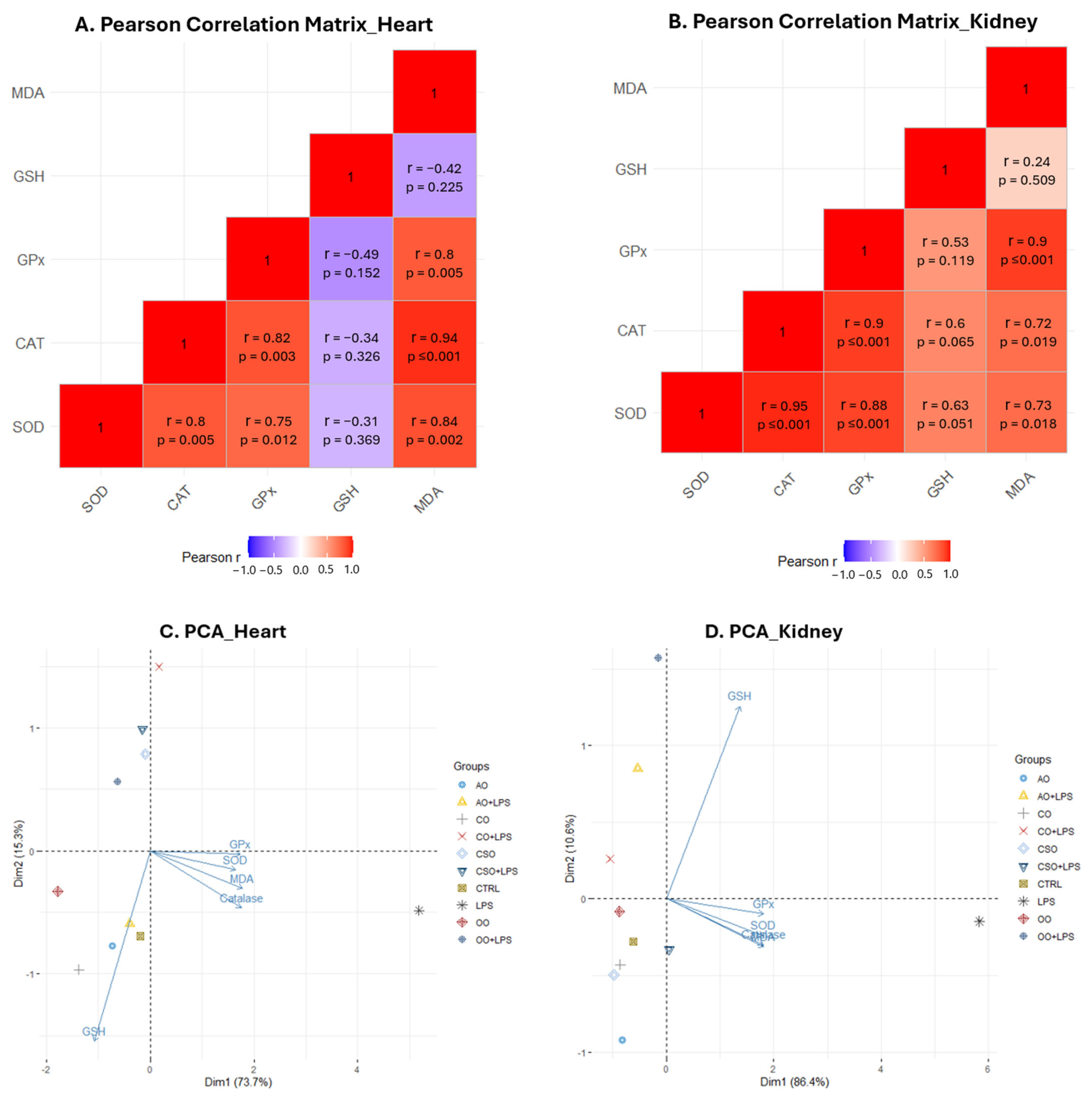 Ijms 26 08300 g009 Ijms 26 08300 g009