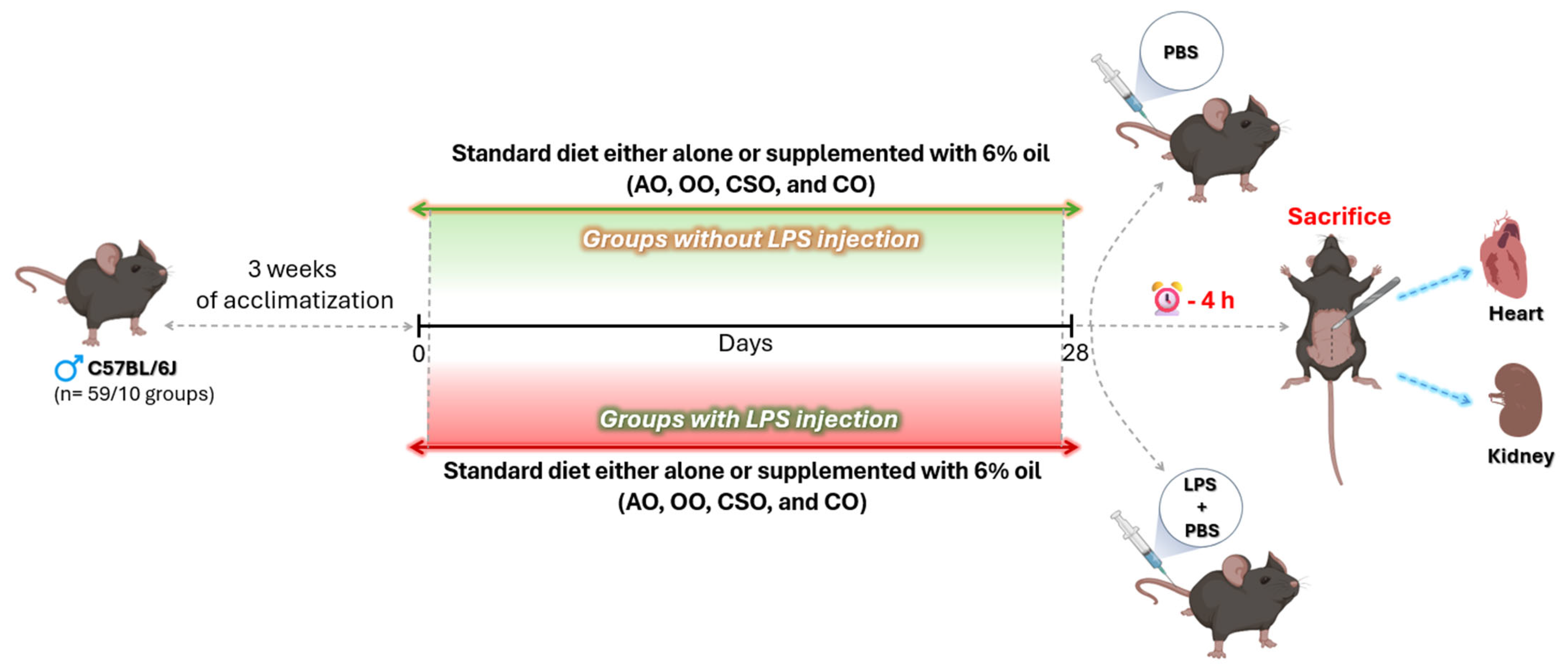 Ijms 26 08300 g010 Ijms 26 08300 g010