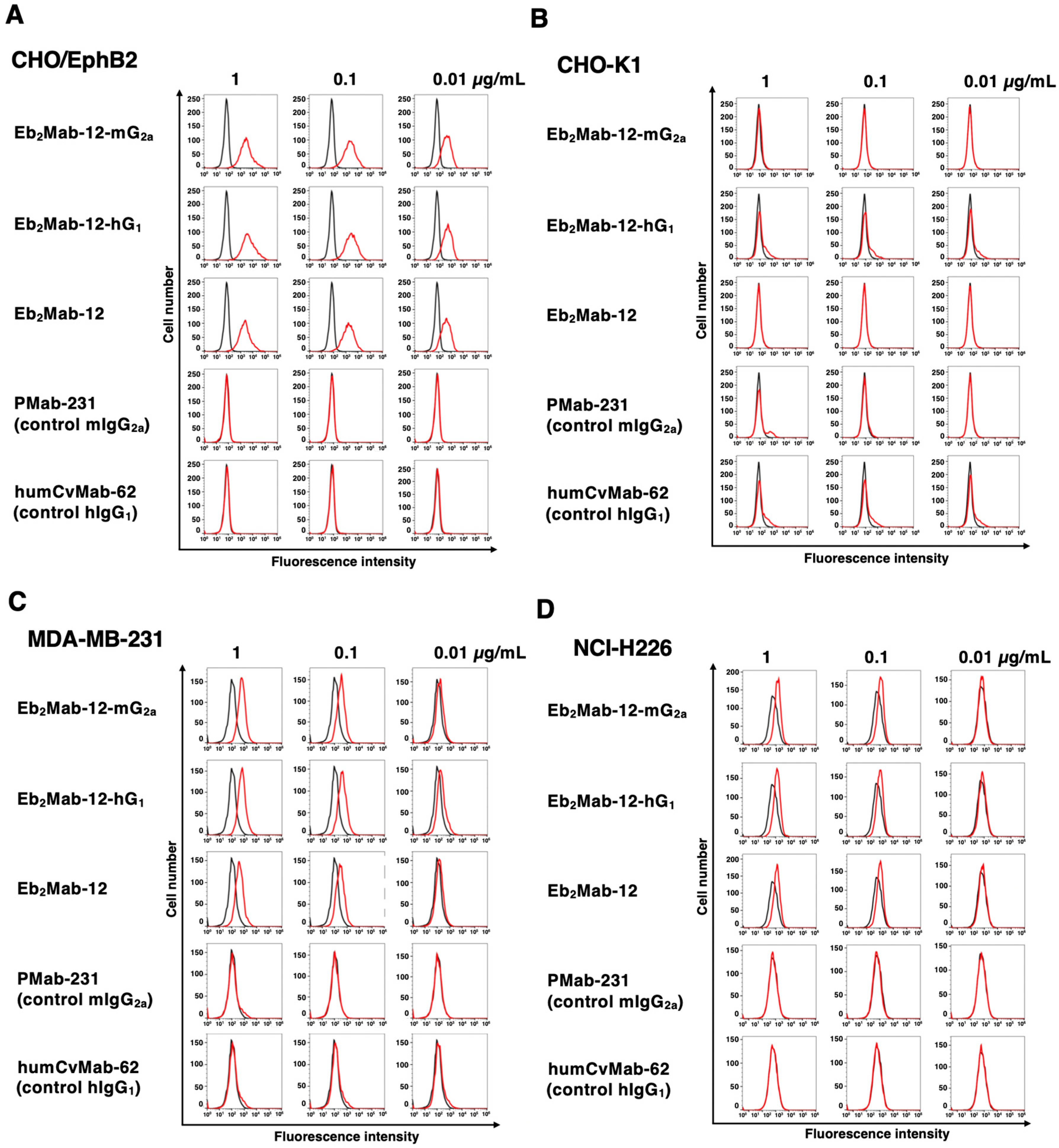 Ijms 26 08302 g002 Ijms 26 08302 g002