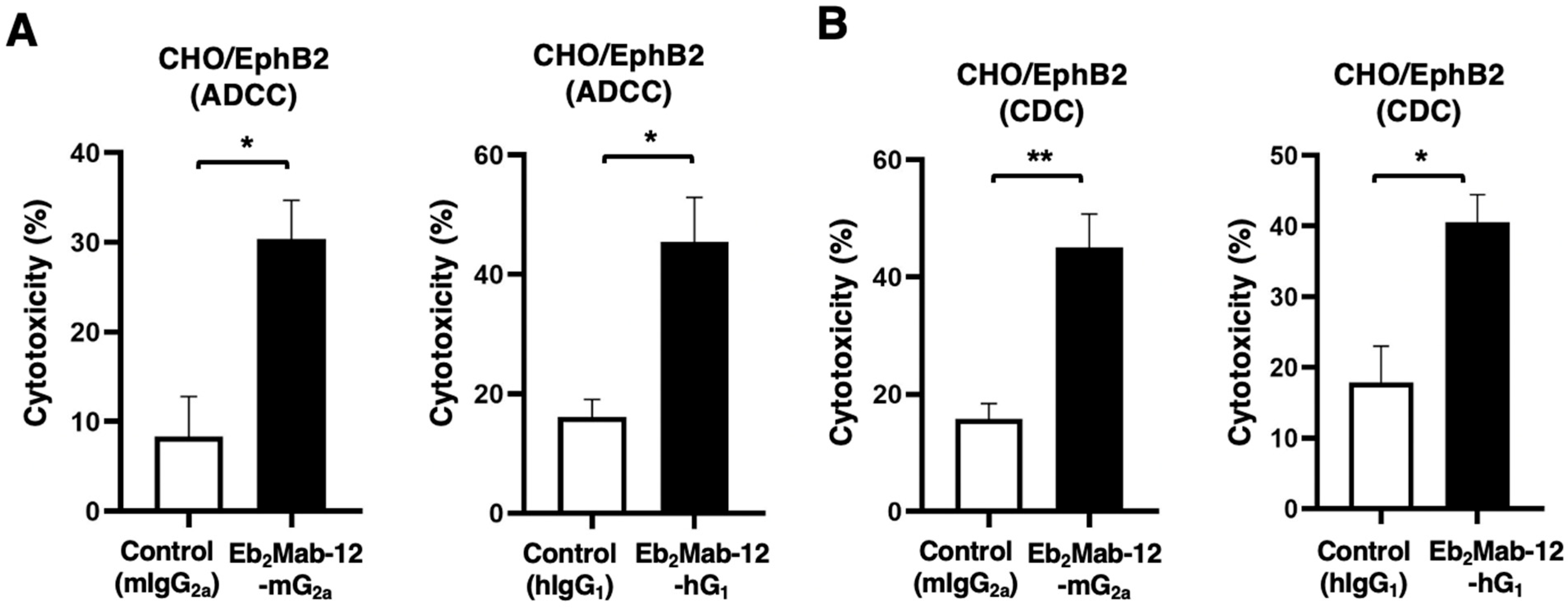 Ijms 26 08302 g003 Ijms 26 08302 g003