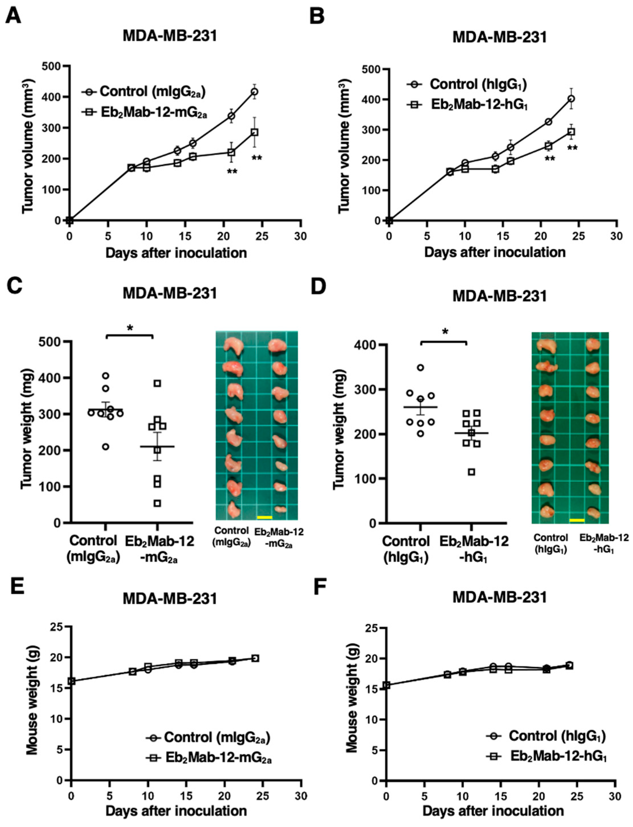 Ijms 26 08302 g006 Ijms 26 08302 g006